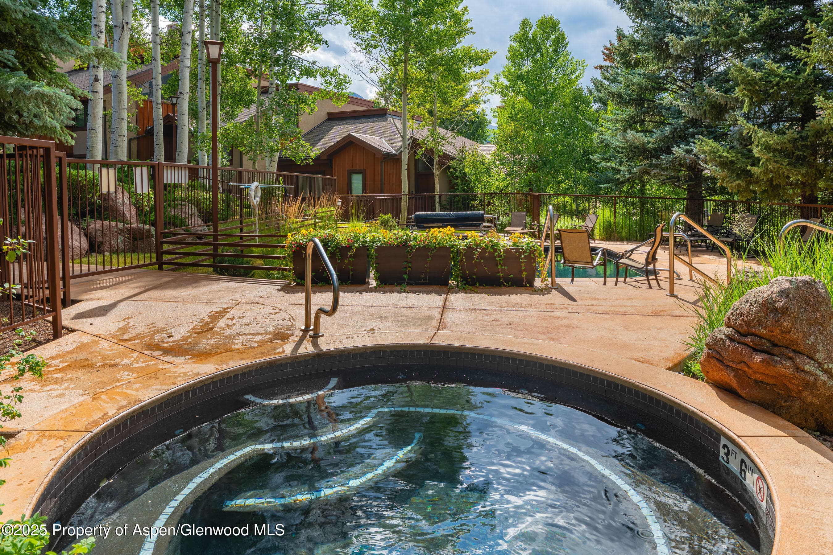 229 Faraway Road 28, Snowmass Village, CO 81615 - Photo 23