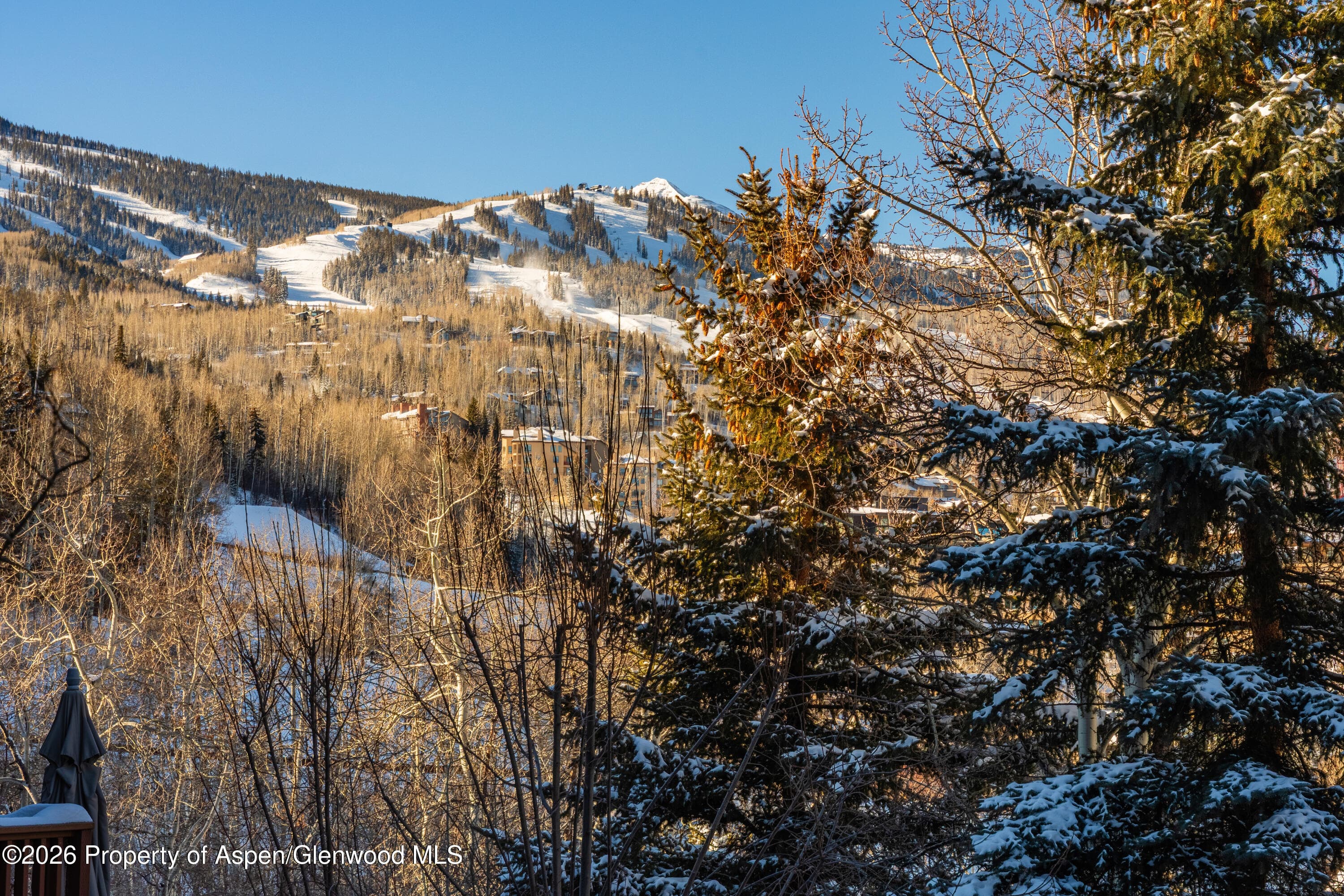 229 Faraway Road 28, Snowmass Village, CO 81615 - Photo 27