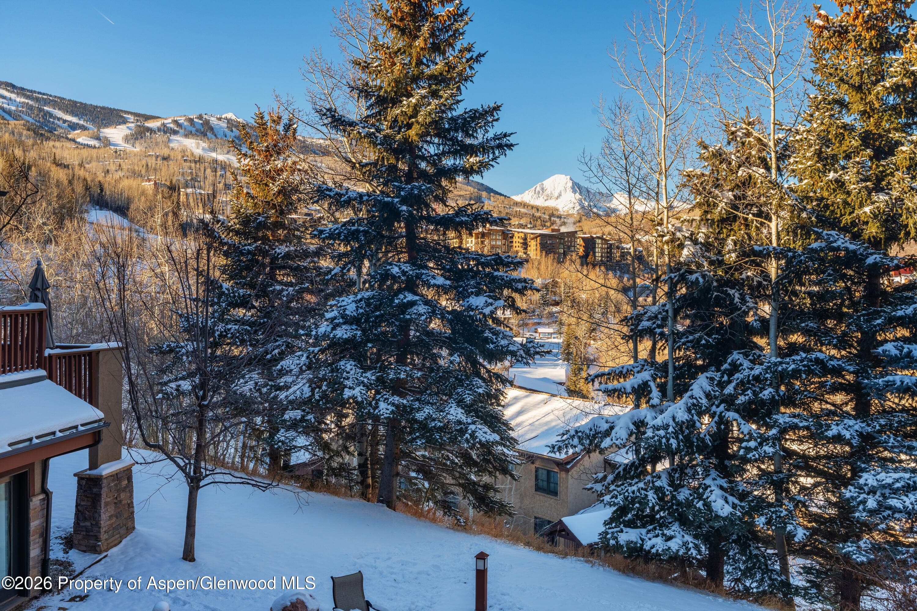229 Faraway Road 28, Snowmass Village, CO 81615 - Photo 28