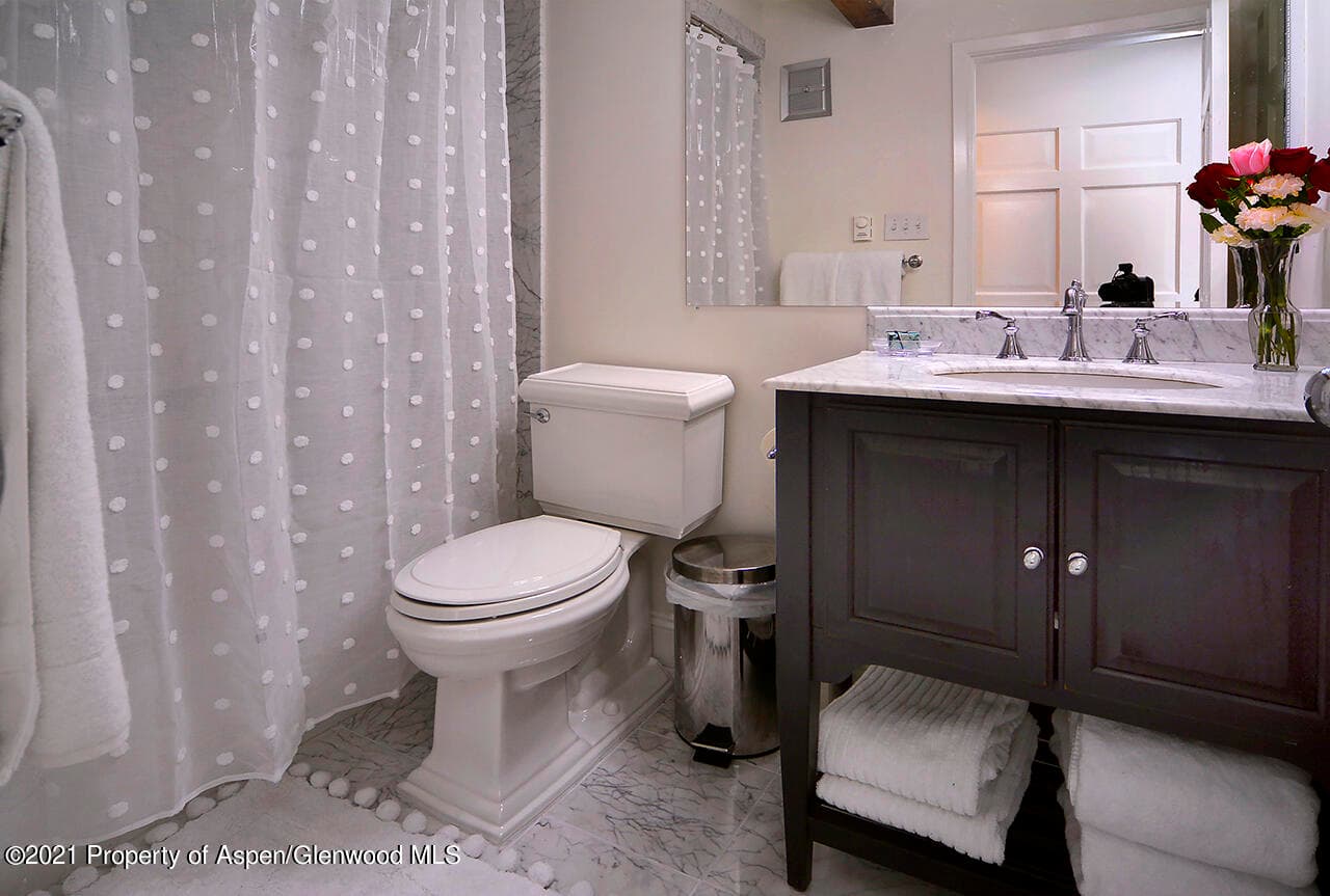1024 E Cooper Avenue 8, Aspen, CO 81611 - Photo 11