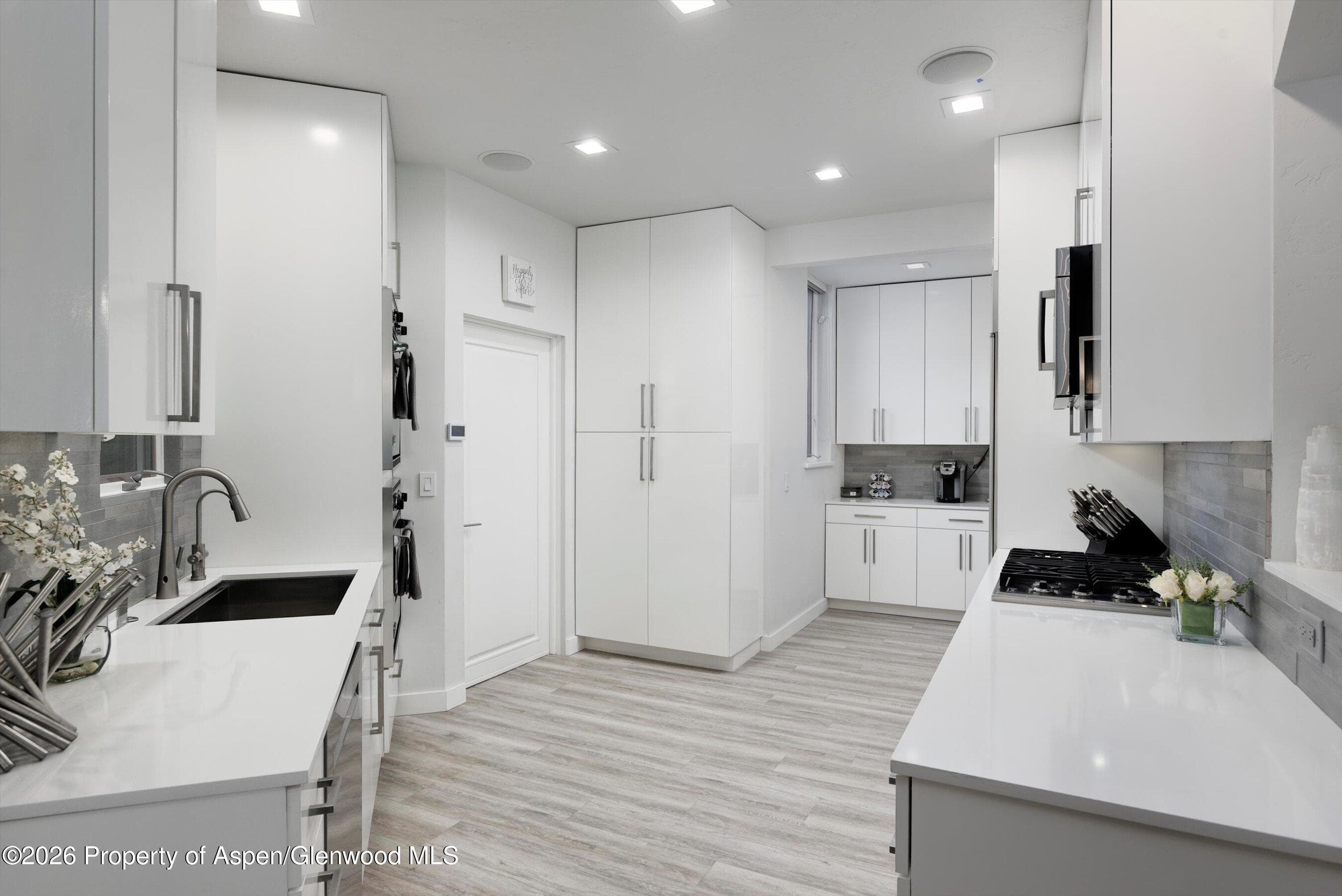 736 W Smuggler Street B, Aspen, CO 81611 - Photo 7
