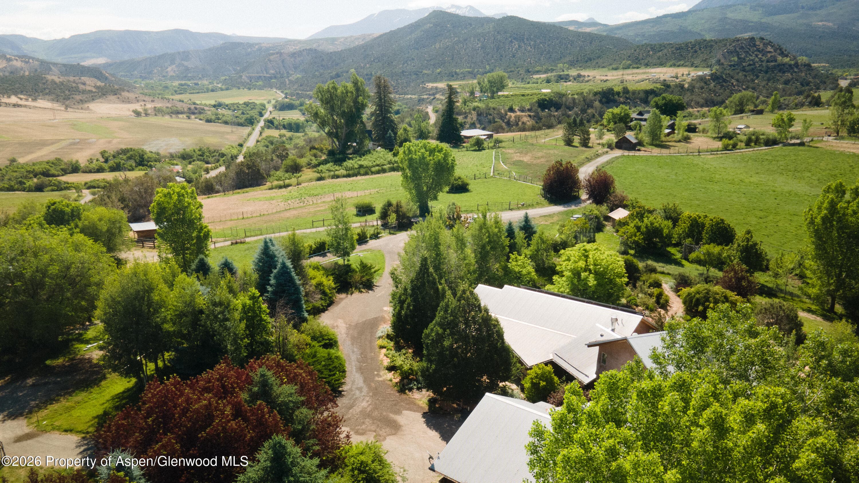 Property - Photo 4
