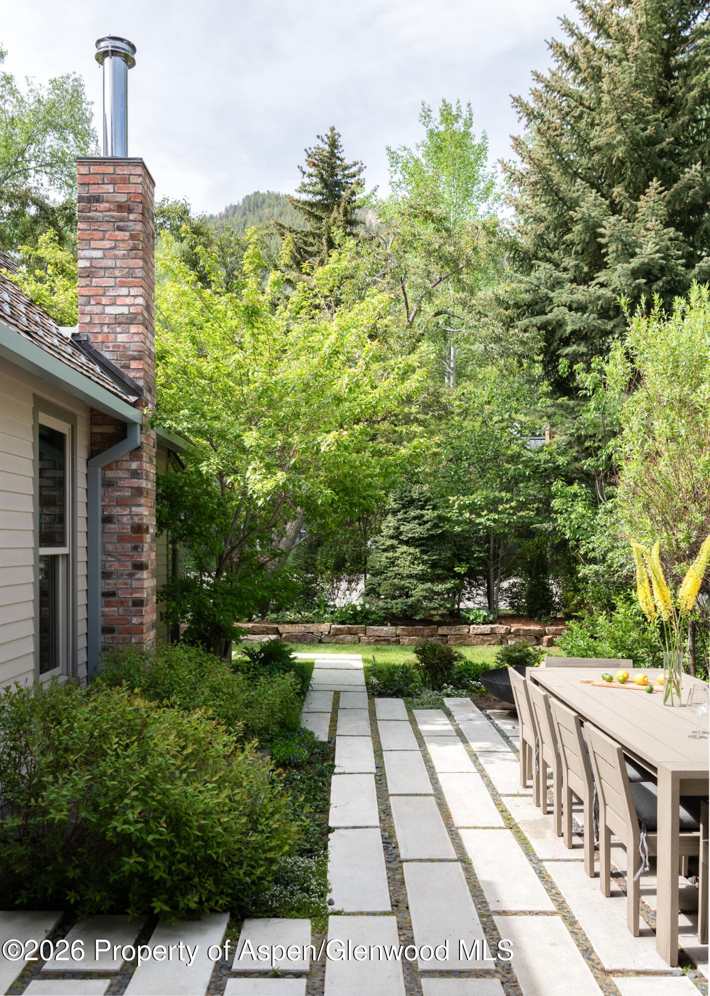 1006 E Cooper Avenue, Aspen, CO 81611 - Photo 4