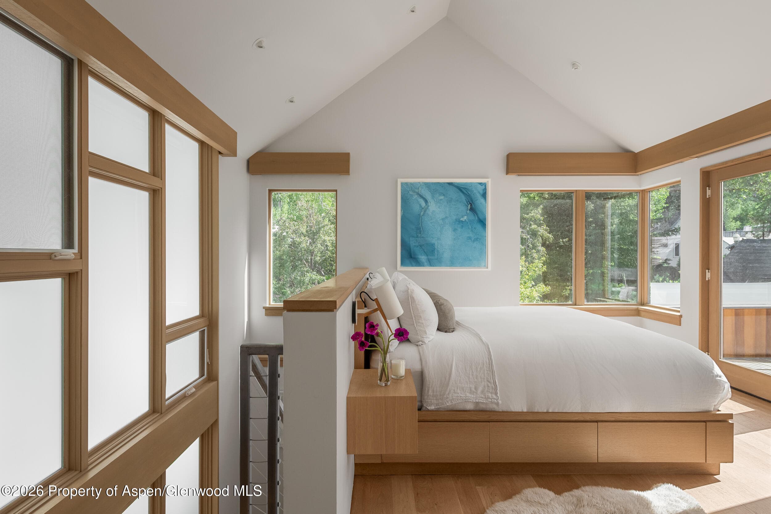 1006 E Cooper Avenue, Aspen, CO 81611 - Photo 13