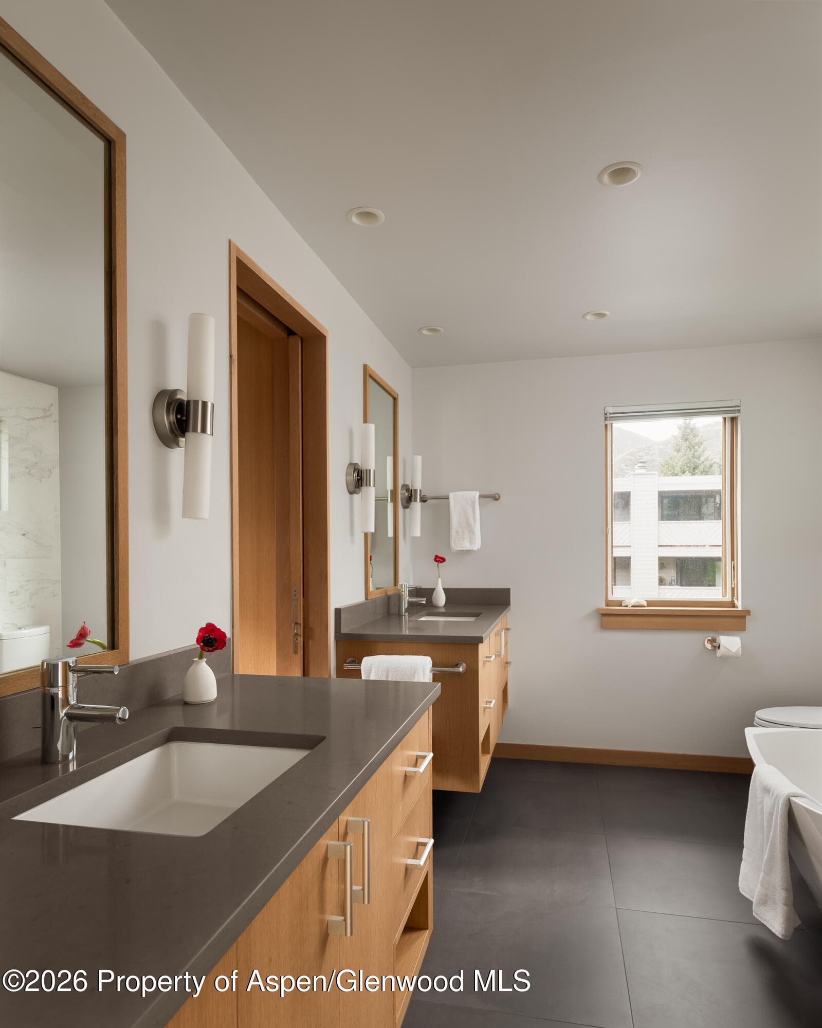 1006 E Cooper Avenue, Aspen, CO 81611 - Photo 14