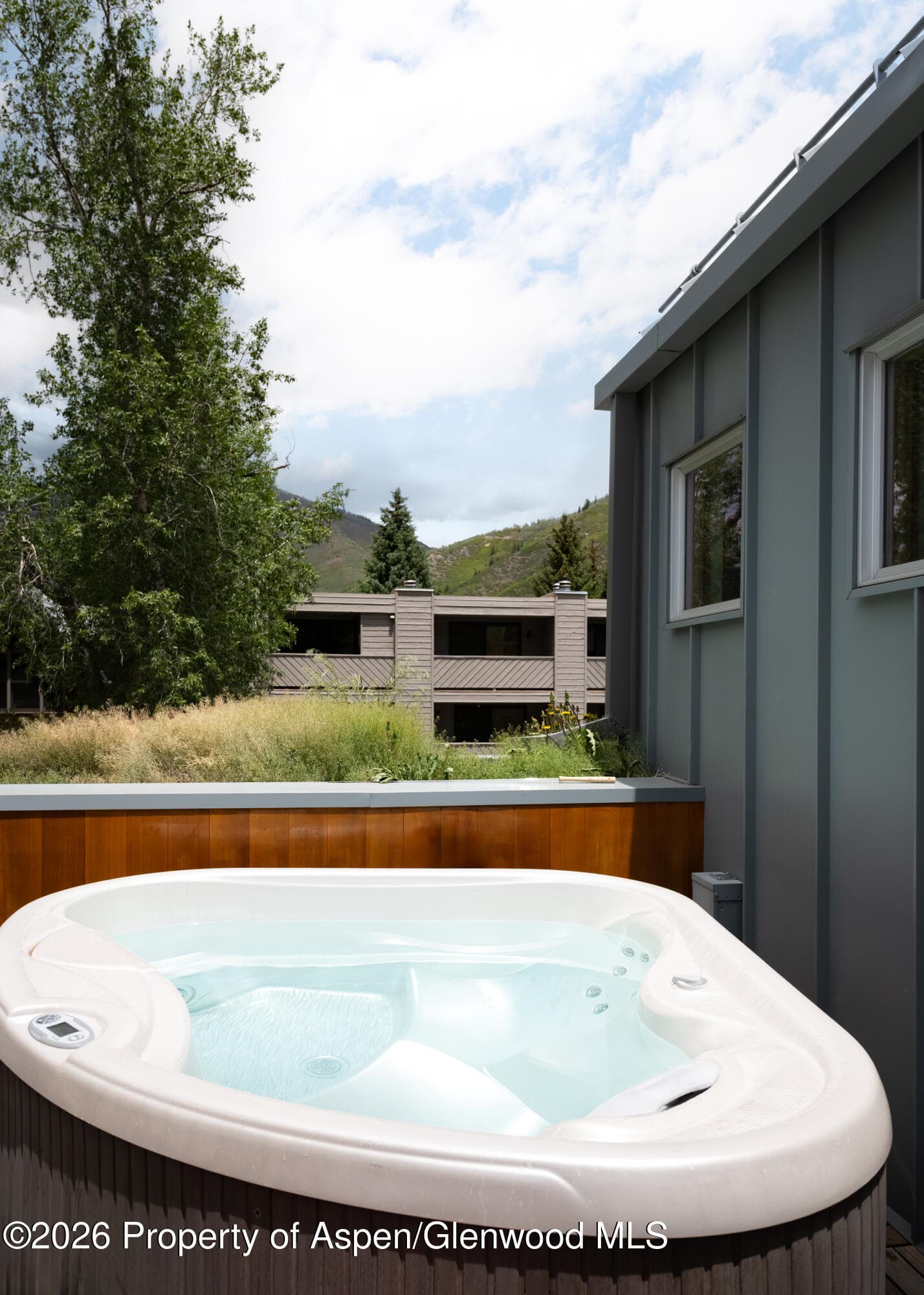 1006 E Cooper Avenue, Aspen, CO 81611 - Photo 16