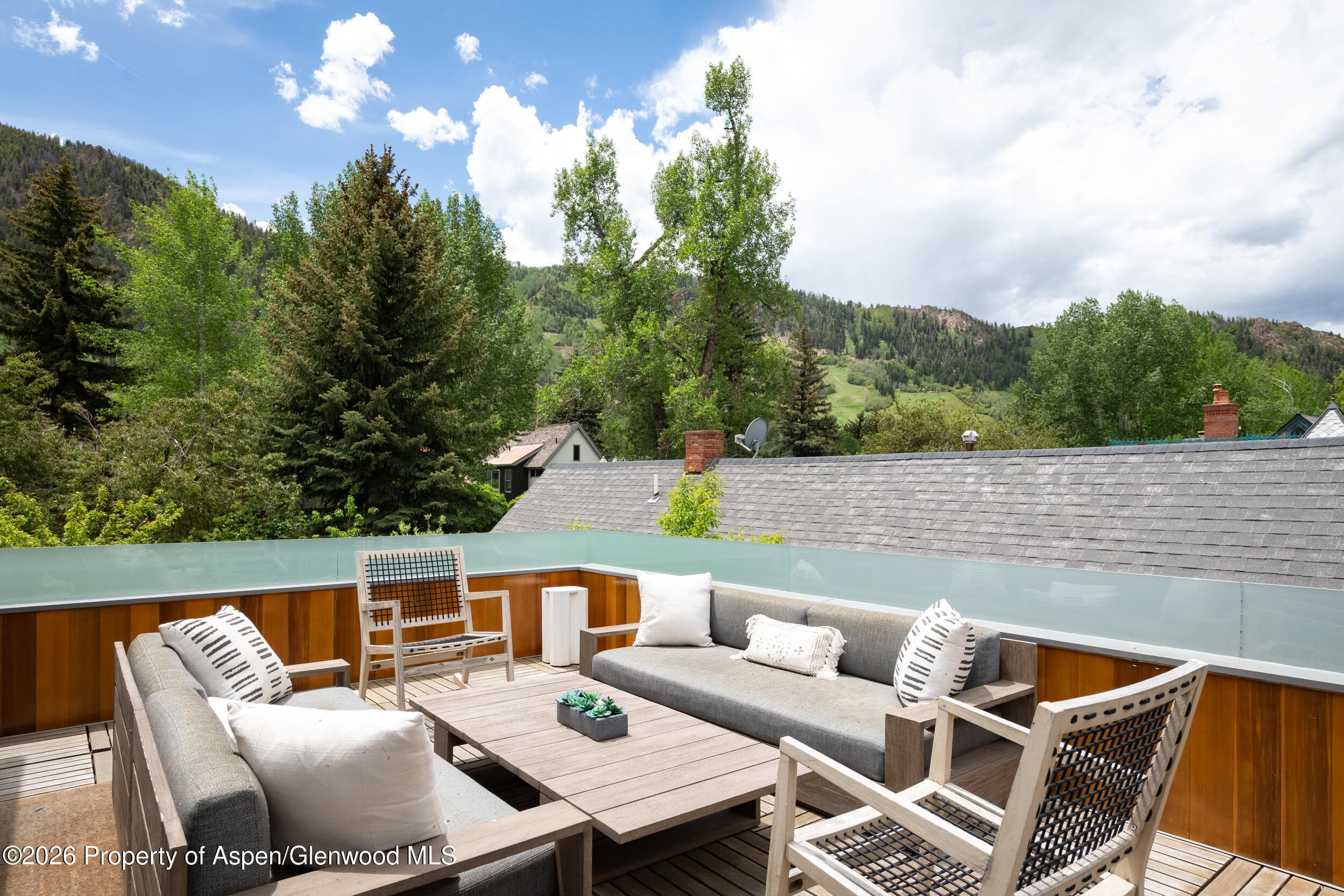 1006 E Cooper Avenue, Aspen, CO 81611 - Photo 15