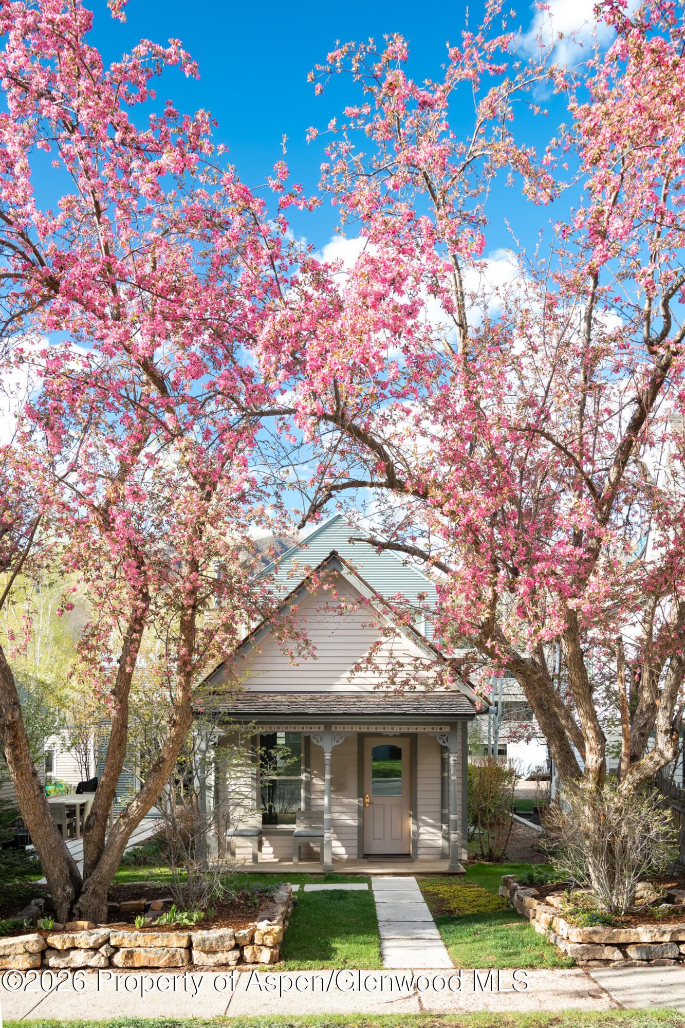 1006 E Cooper Avenue, Aspen, CO 81611 - Photo 2