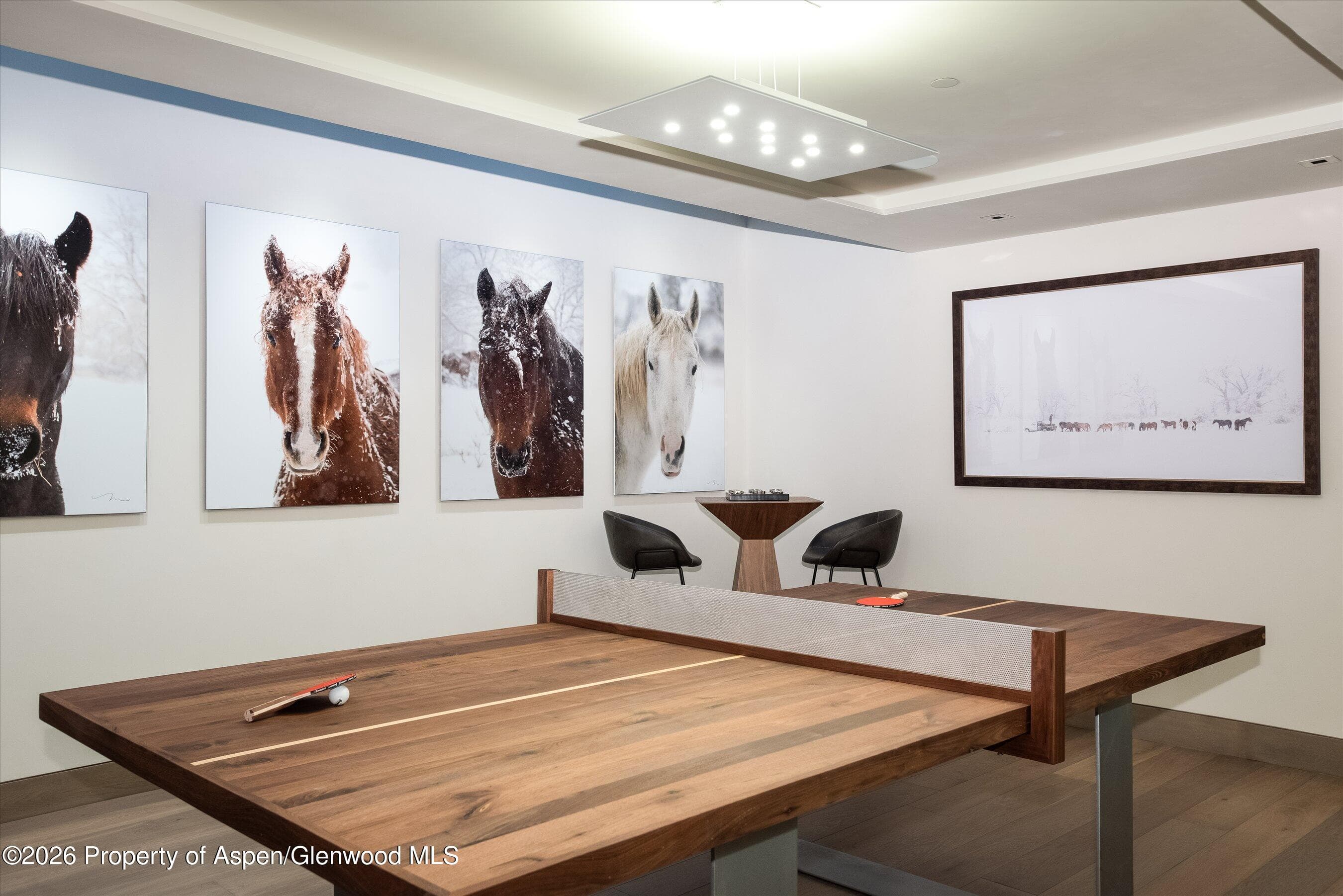 126 Juan Street, Aspen, CO 81611 - Photo 25