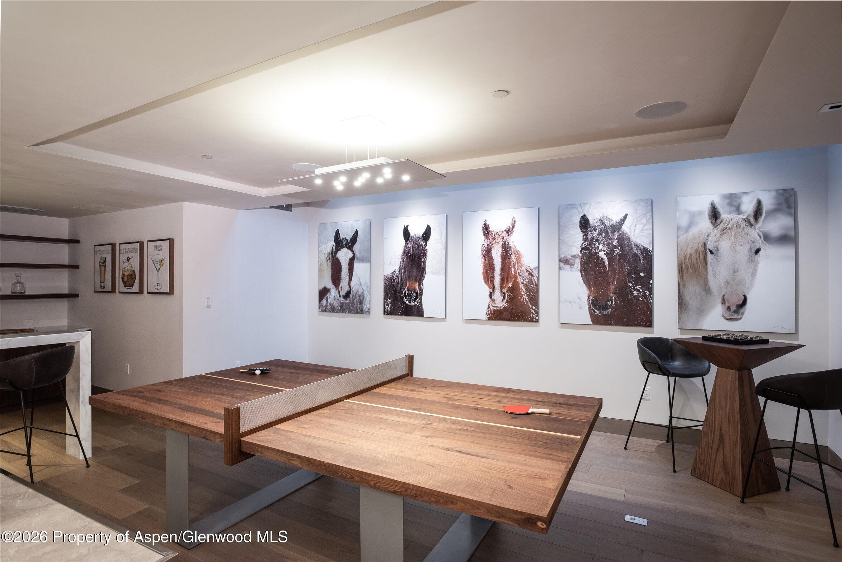126 Juan Street, Aspen, CO 81611 - Photo 30