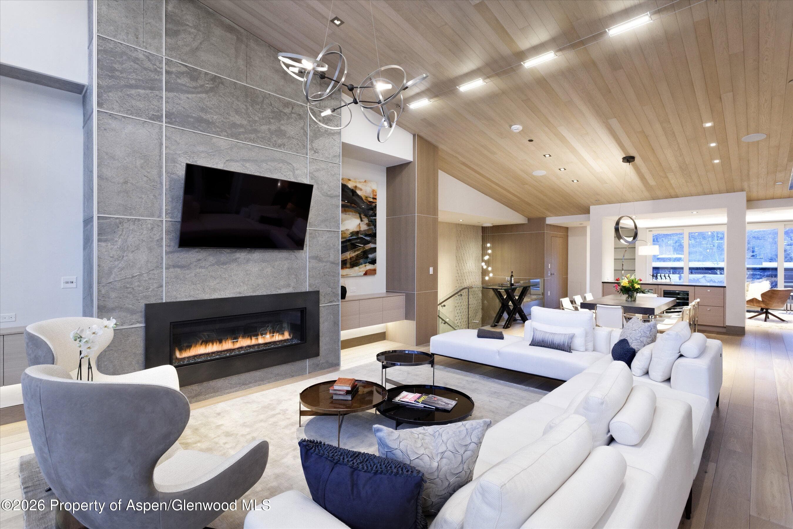 126 Juan Street, Aspen, CO 81611 - Photo 39