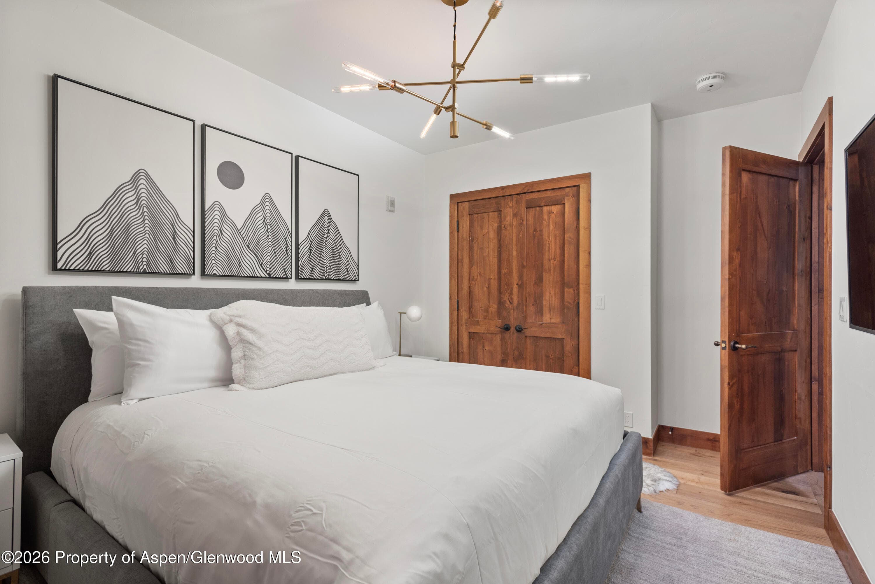 501 W Main Street A104, Aspen, CO 81611 - Photo 7