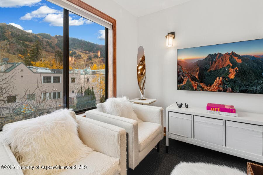 725 E Main Street 309, Aspen, CO 81611 - Photo 6