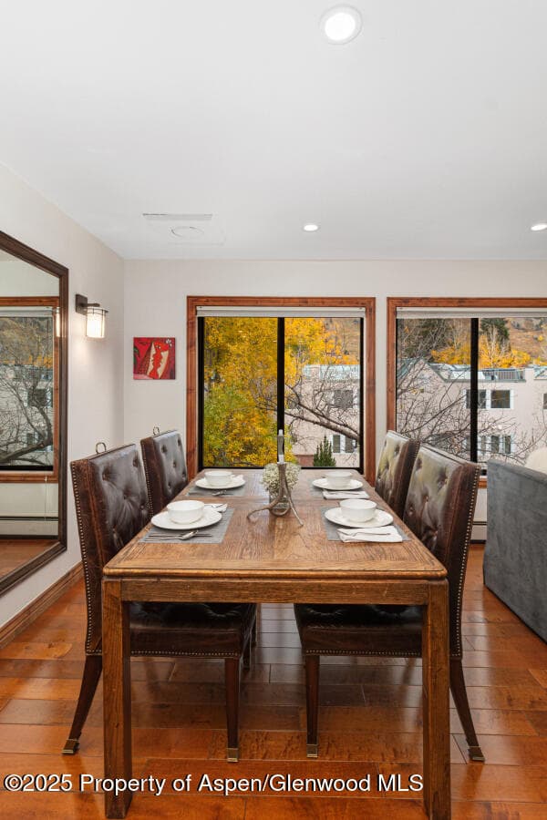 725 E Main Street 309, Aspen, CO 81611 - Photo 11