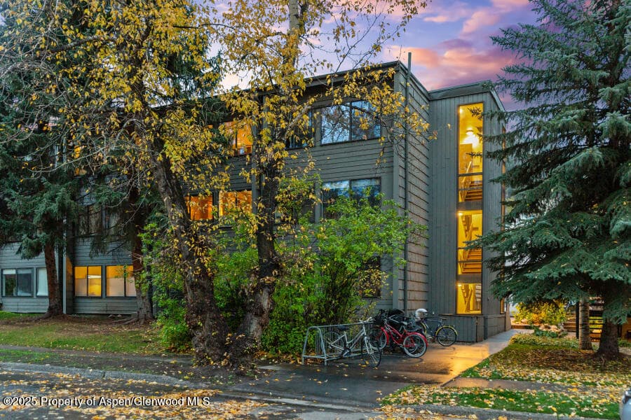 725 E Main Street 309, Aspen, CO 81611 - Photo 34
