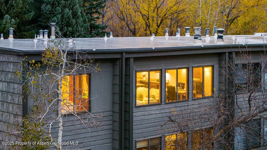 725 E Main Street 309, Aspen, CO 81611 - Photo 36