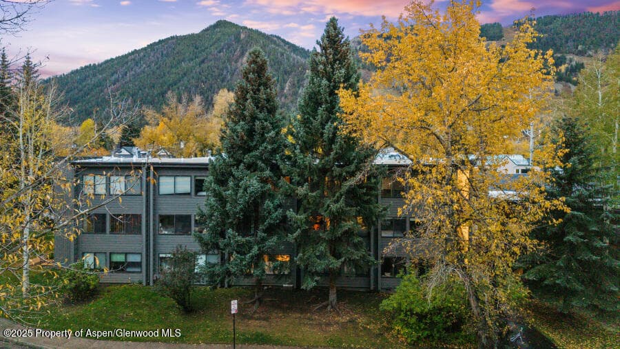 725 E Main Street 309, Aspen, CO 81611 - Photo 37