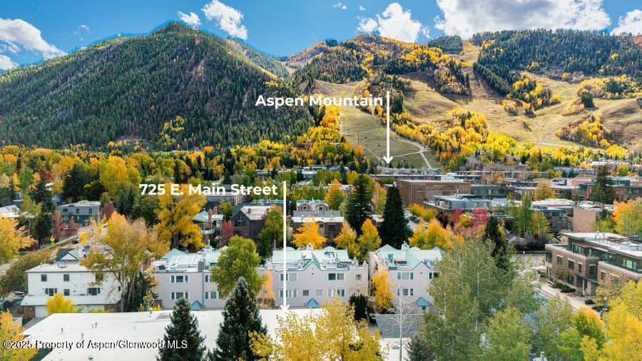 725 E Main Street 309, Aspen, CO 81611 - Photo 41