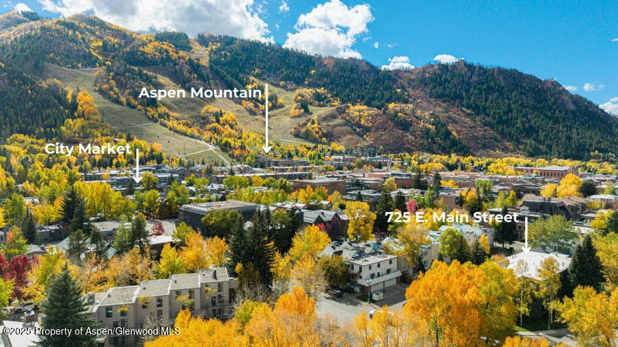 725 E Main Street 309, Aspen, CO 81611 - Photo 42