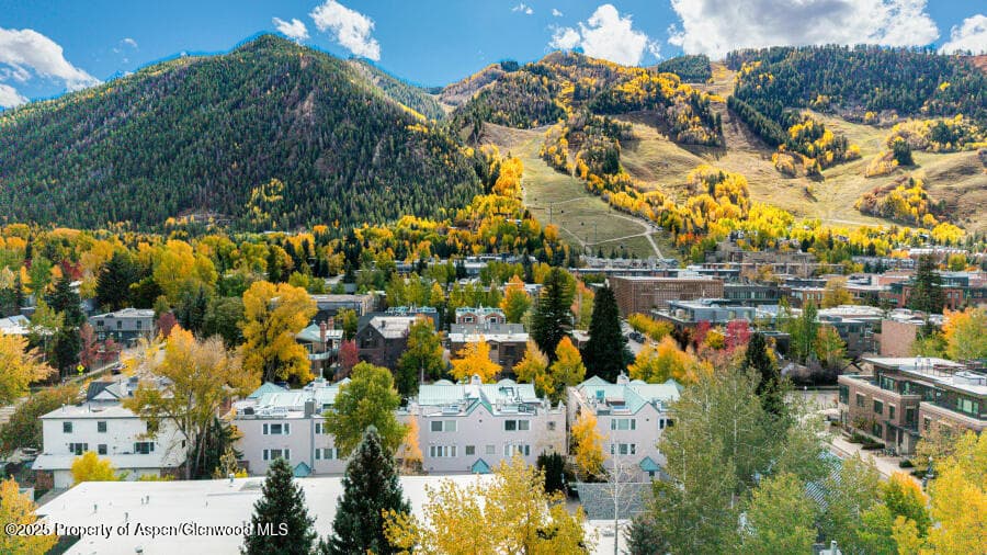 725 E Main Street 309, Aspen, CO 81611 - Photo 43