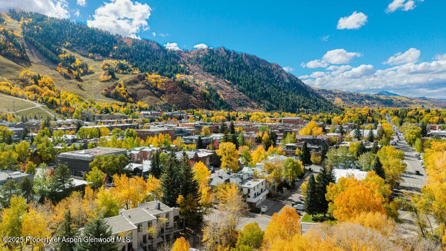 725 E Main Street 309, Aspen, CO 81611 - Photo 48