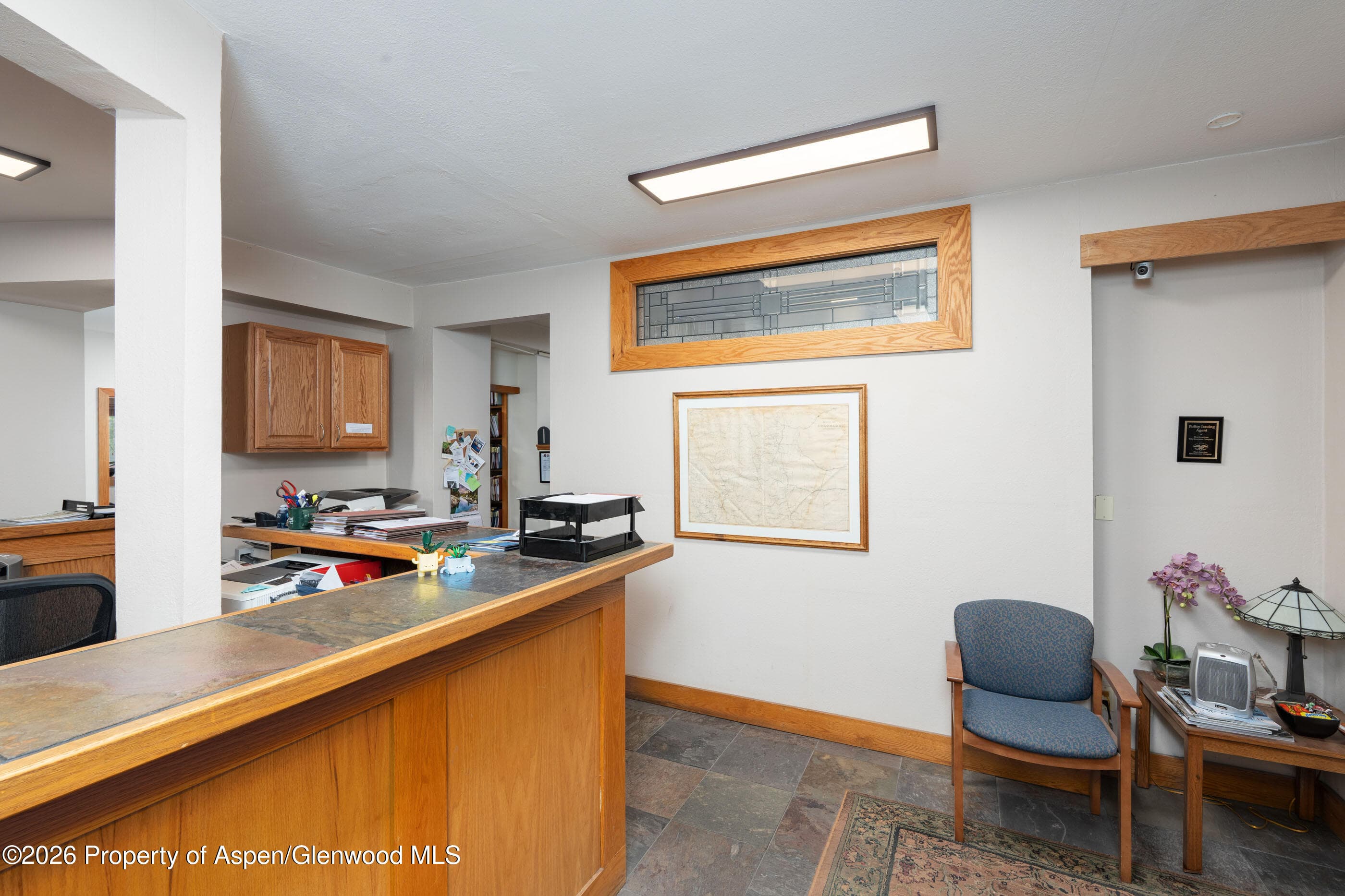 715 W Main Street Units 201, 202 & 203, Aspen, CO 81611 - Photo 6