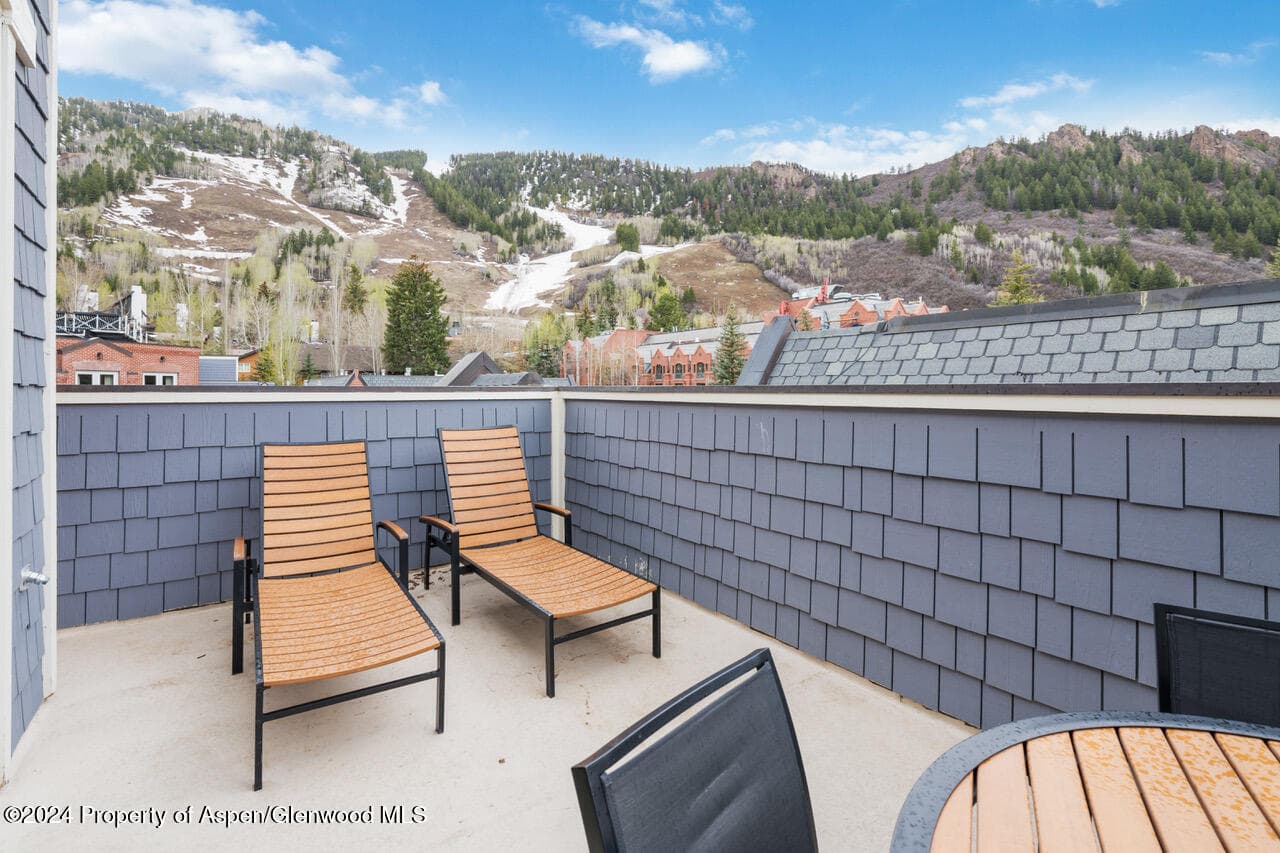 415 E Dean St, Unit 45, Week 12, Aspen, CO 81611 - Photo 11