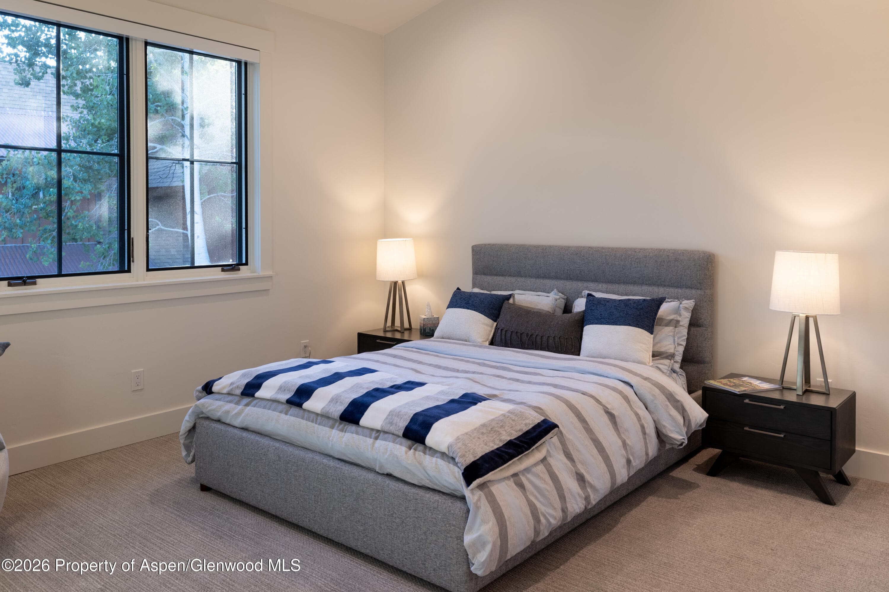 802 Lakeside Drive, Carbondale, CO 81623 - Photo 30