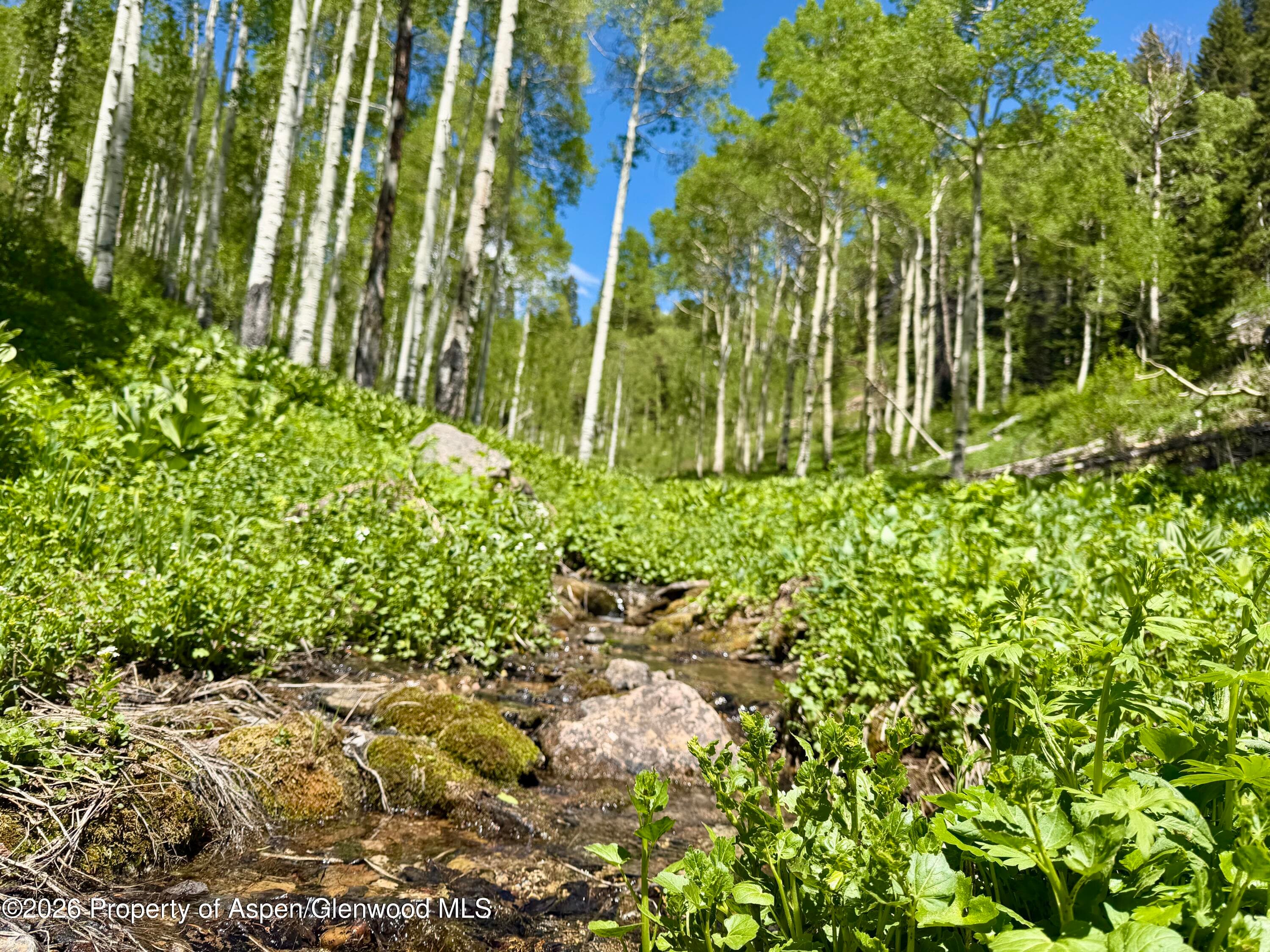 N/A F S 602 Road, Glenwood Springs, CO 81601 - Photo 11