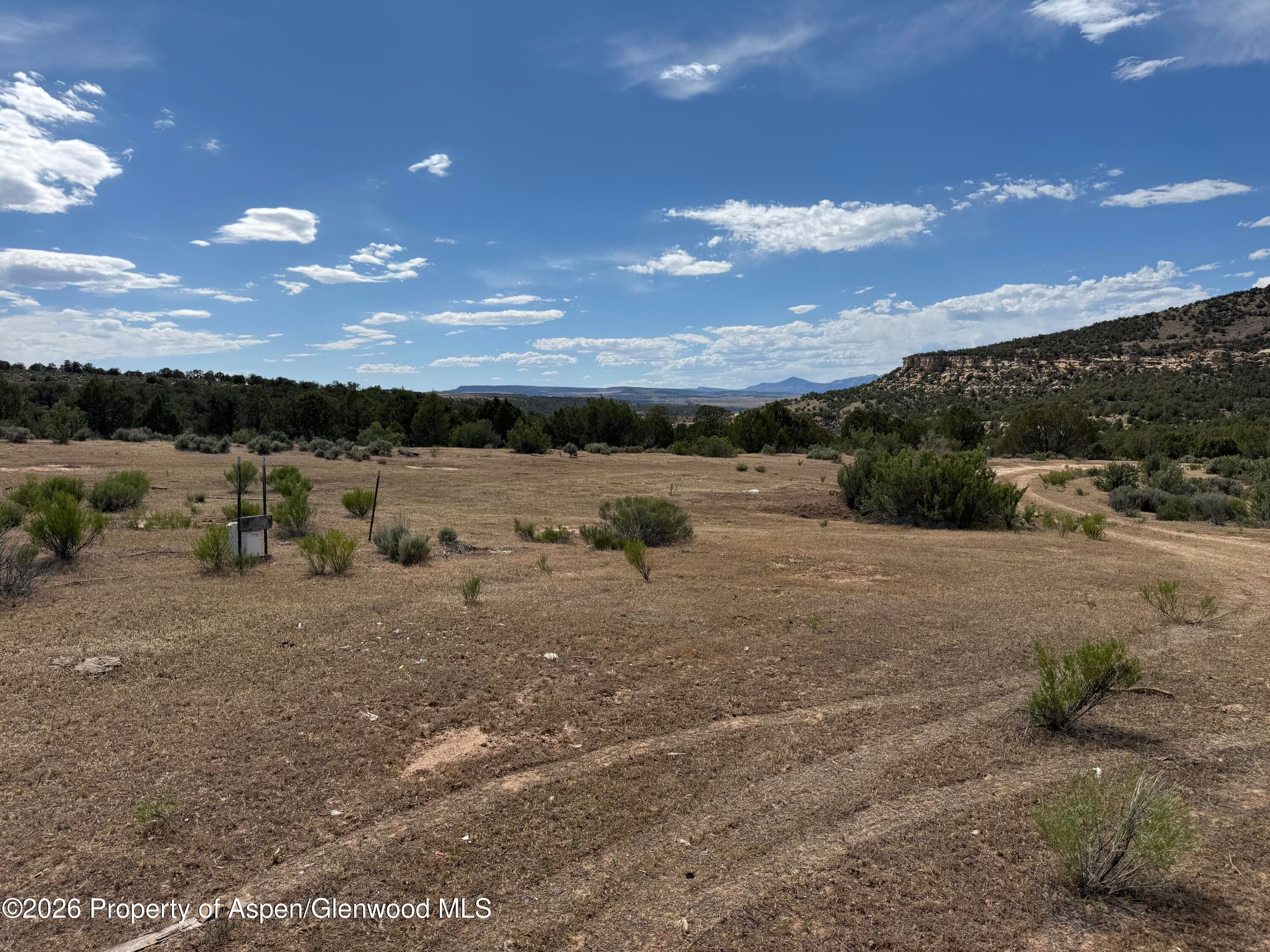 4530 Horse Canyon Road, De Beque, CO 81630 - Photo 7