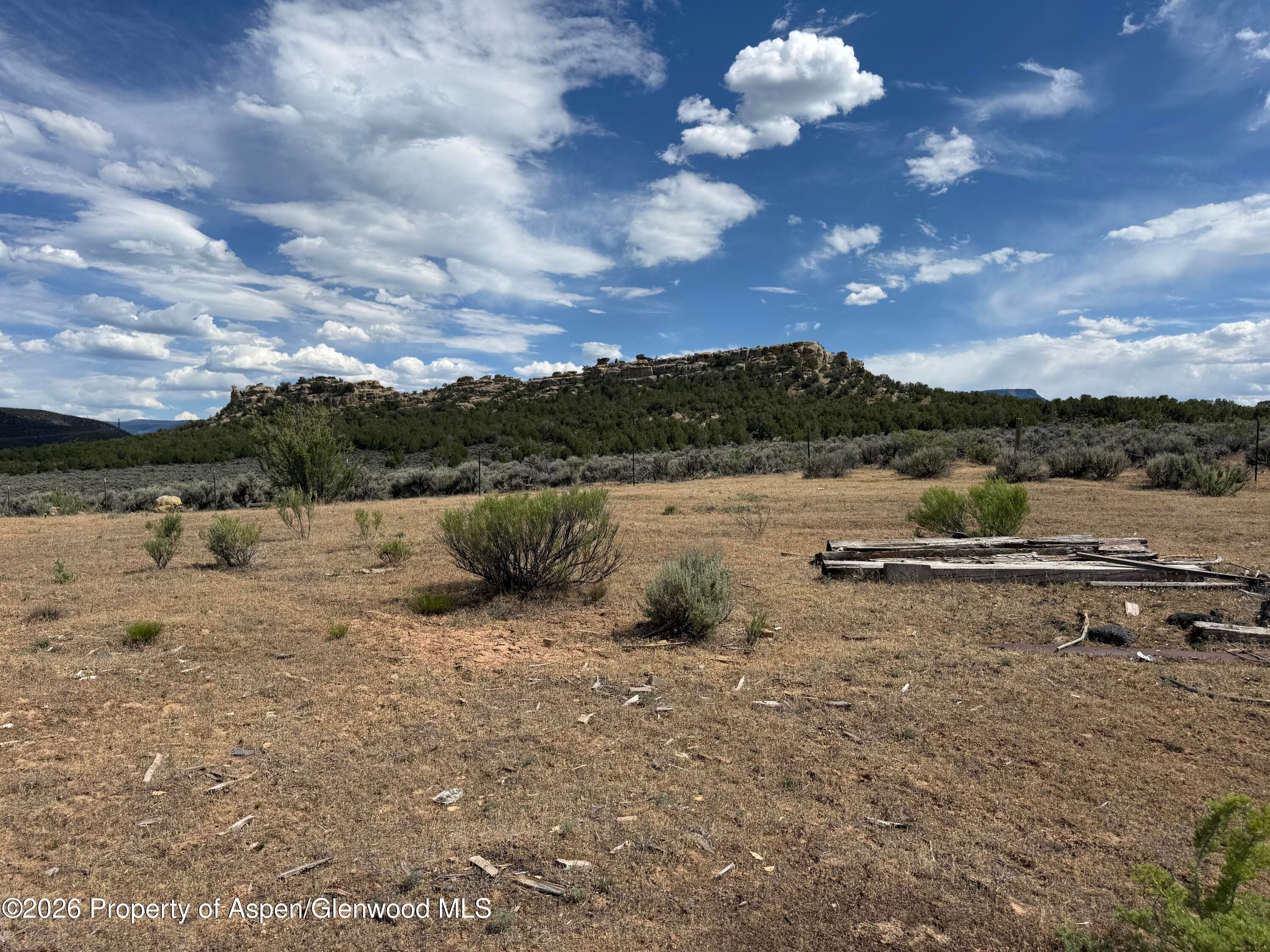 4530 Horse Canyon Road, De Beque, CO 81630 - Photo 9
