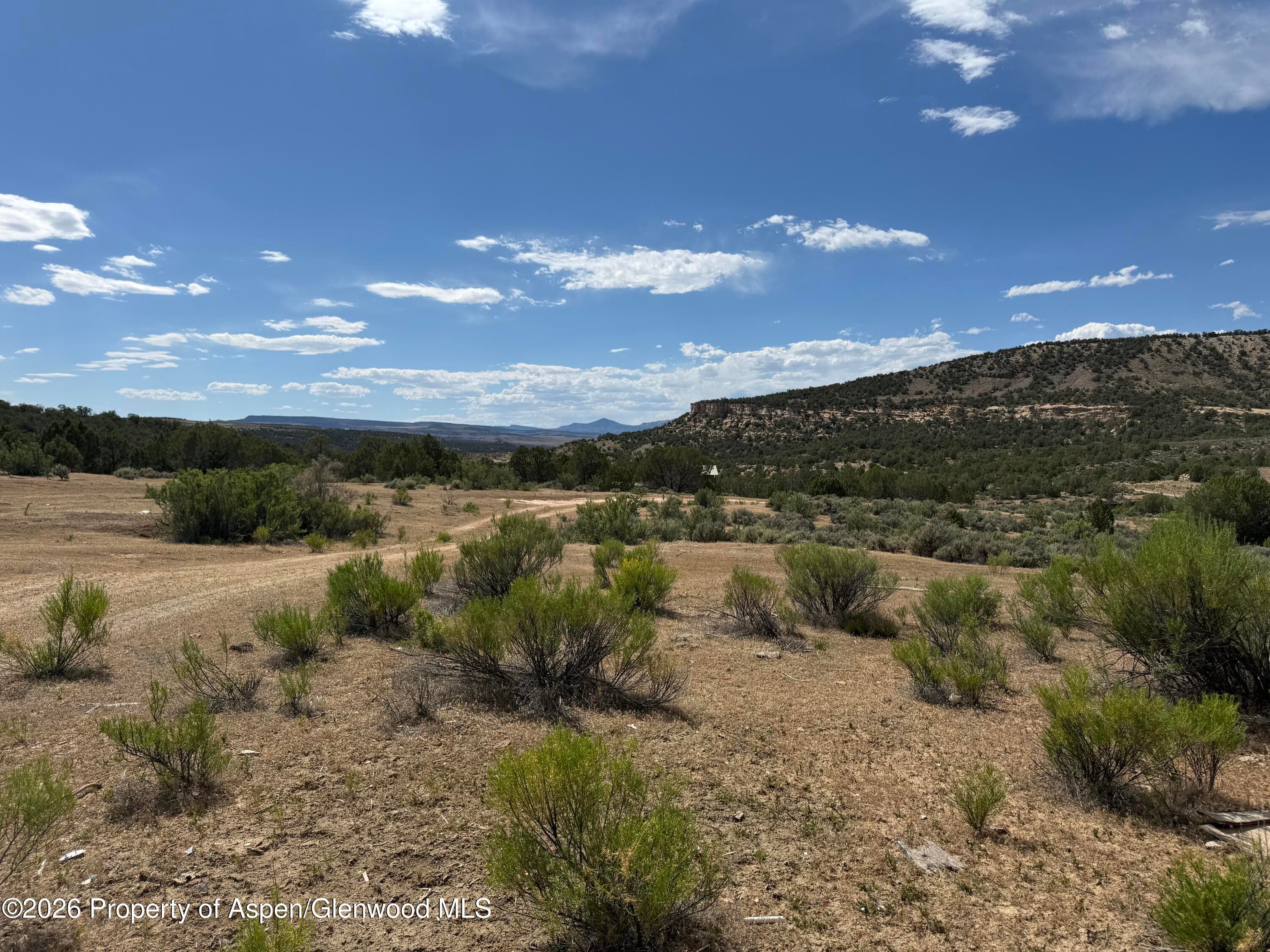 4530 Horse Canyon Road, De Beque, CO 81630 - Photo 10