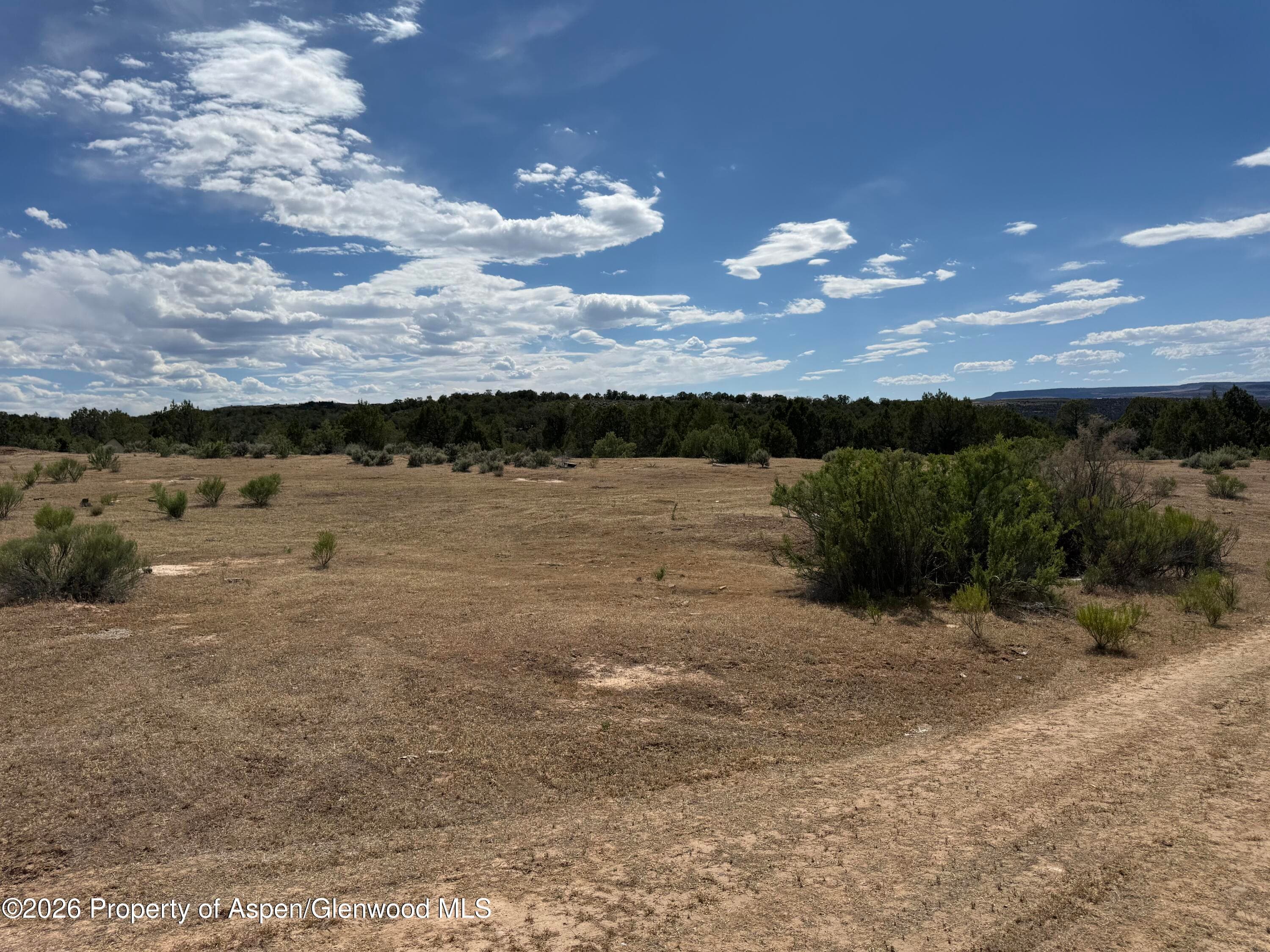 4530 Horse Canyon Road, De Beque, CO 81630 - Photo 12