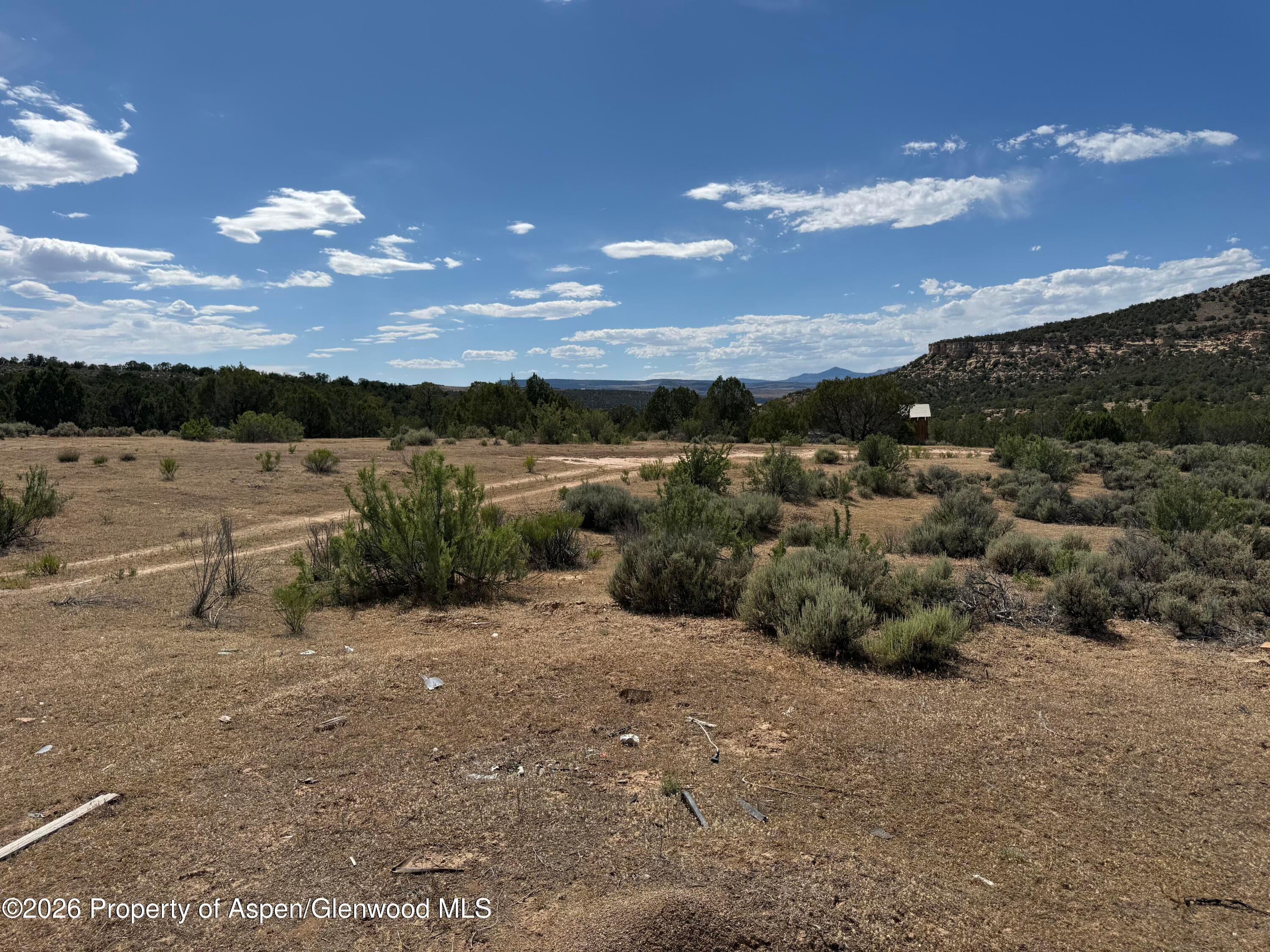 4530 Horse Canyon Road, De Beque, CO 81630 - Photo 13