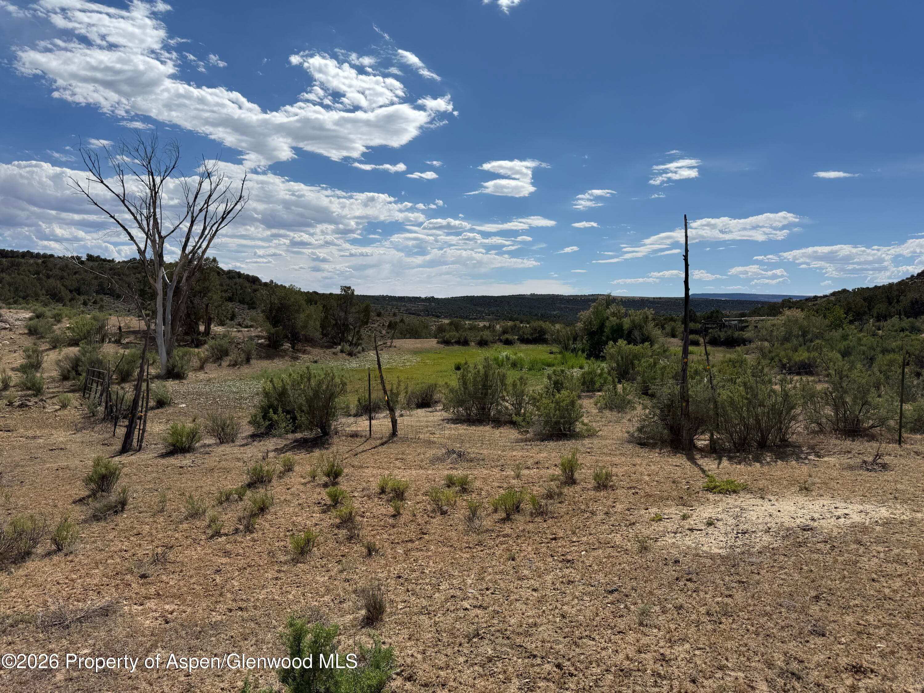 4530 Horse Canyon Road, De Beque, CO 81630 - Photo 17