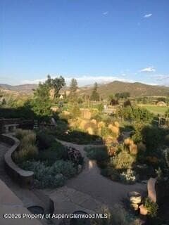 Property - Photo 57