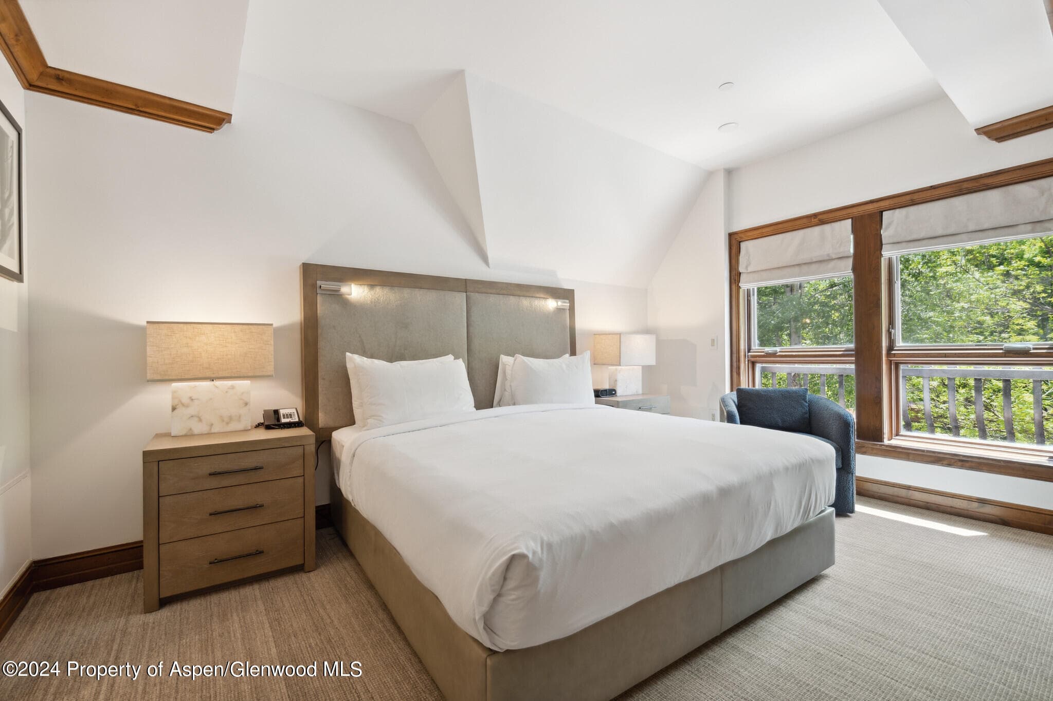 415 E Dean St., Unit 37, Week 6, Aspen, CO 81611 - Photo 15
