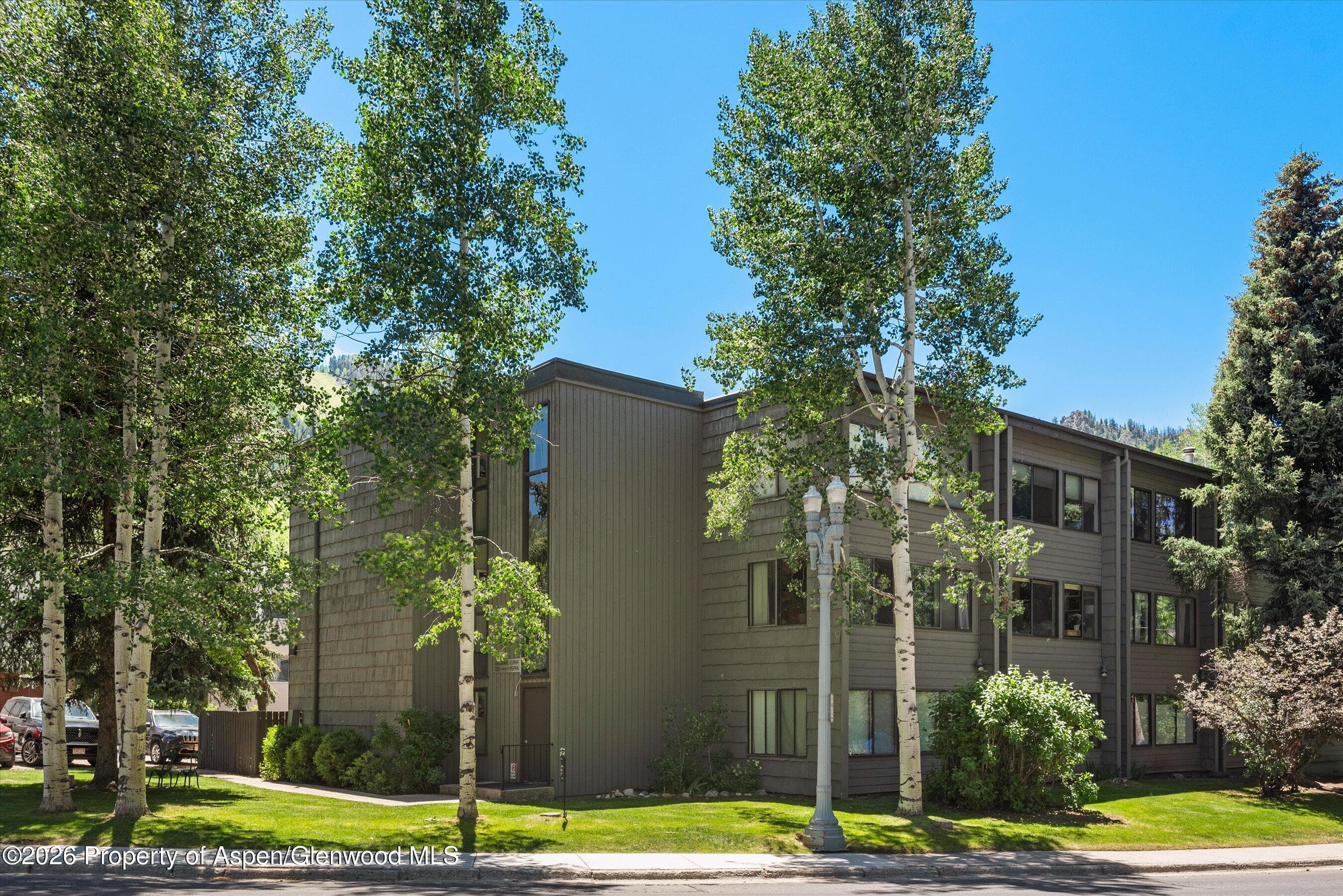 725 E Main Street 107, Aspen, CO 81611 - Photo 16
