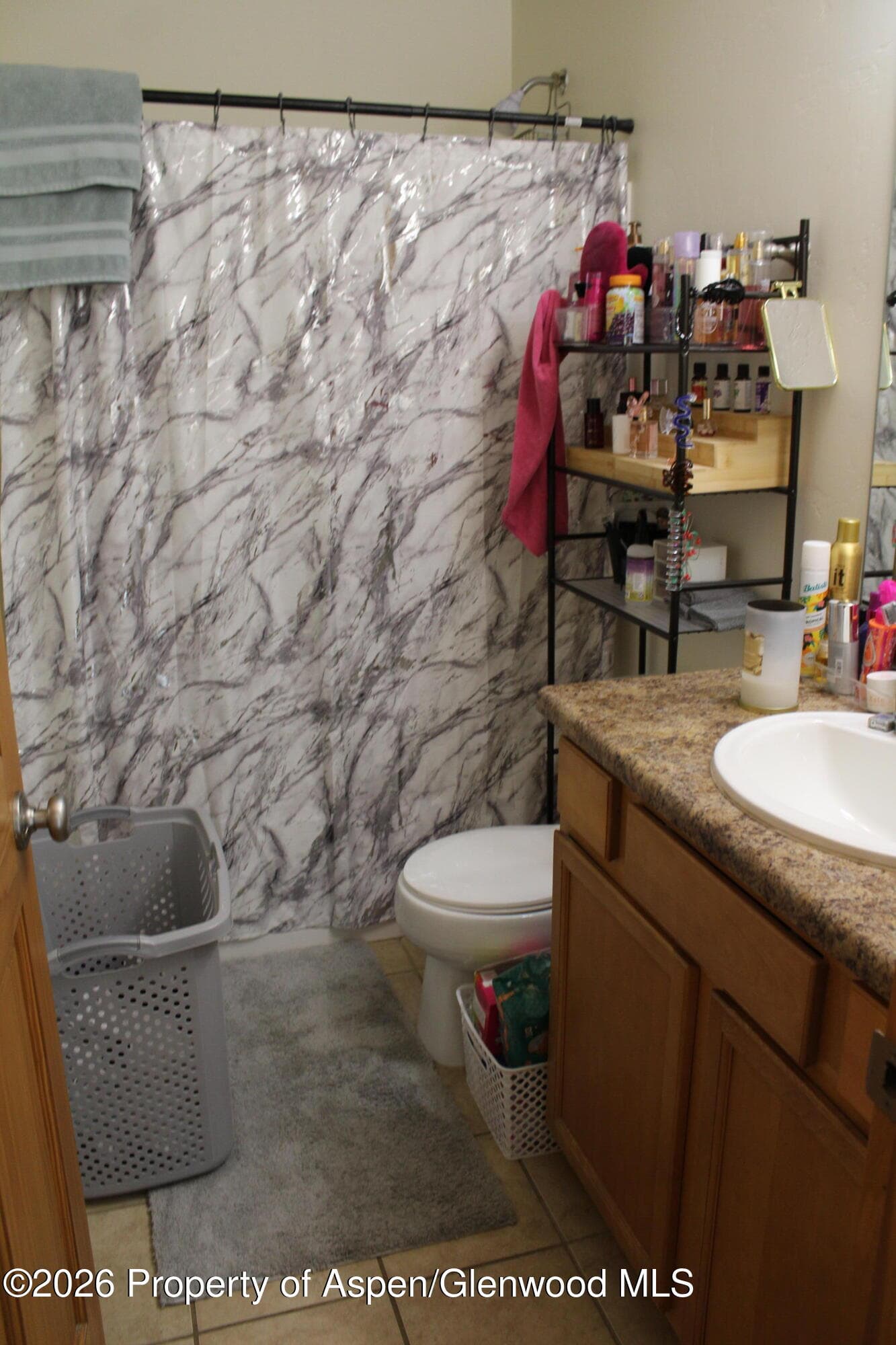 3119 Howard Avenue, Rifle, CO 81650 - Photo 9