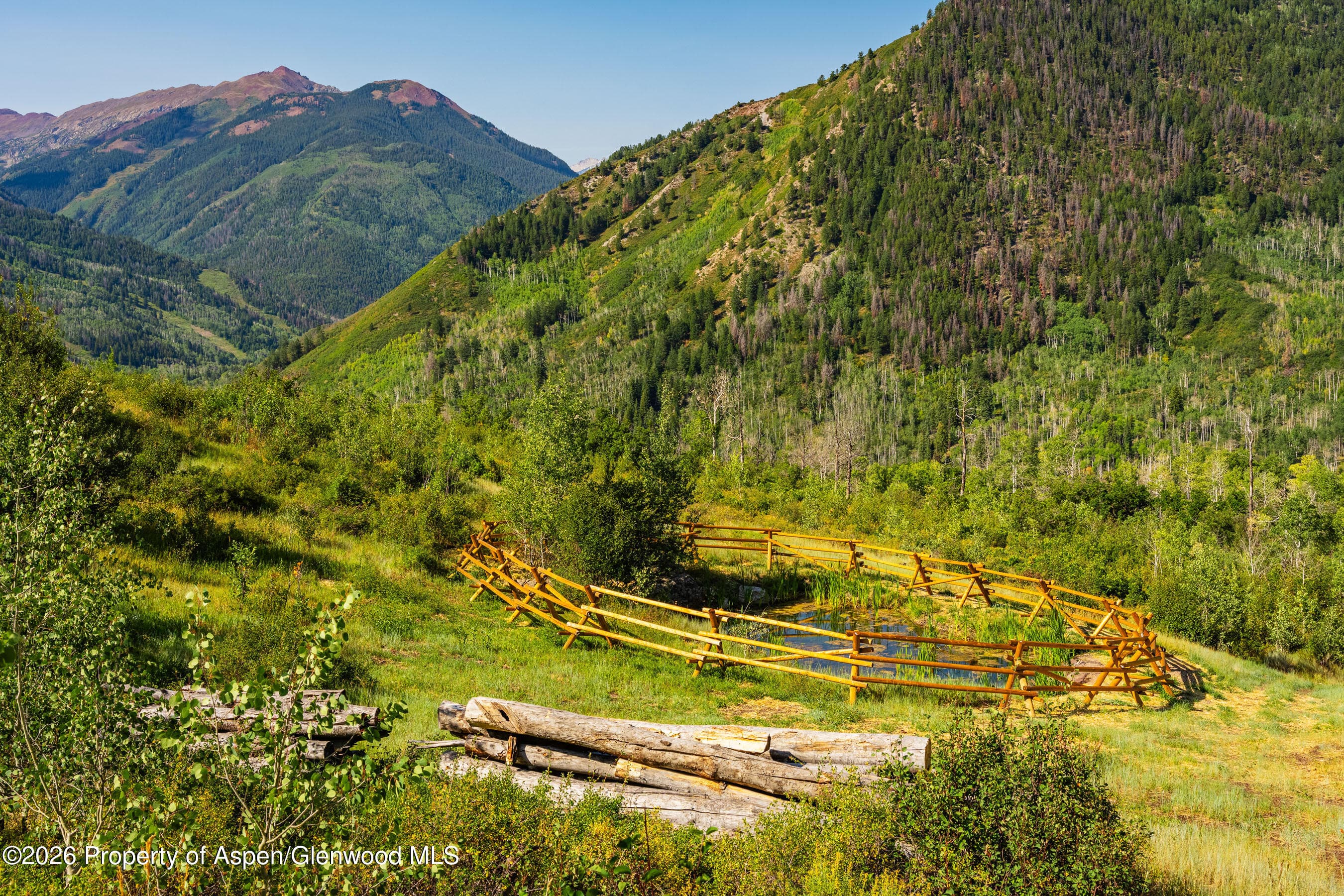 8500 & Tbd Snowmass Creek Road, Snowmass, CO 81654 - Photo 5