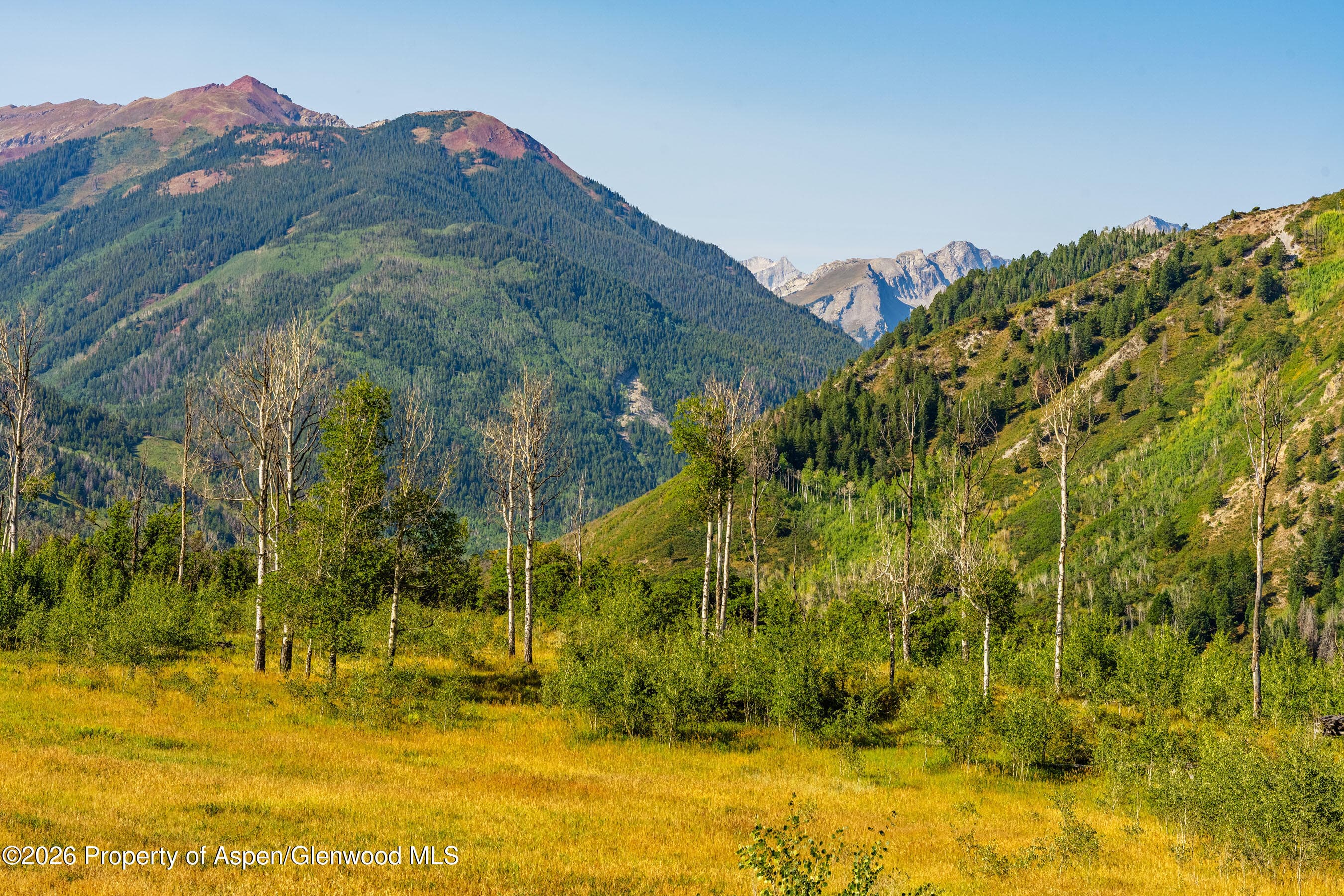 8500 & Tbd Snowmass Creek Road, Snowmass, CO 81654 - Photo 4