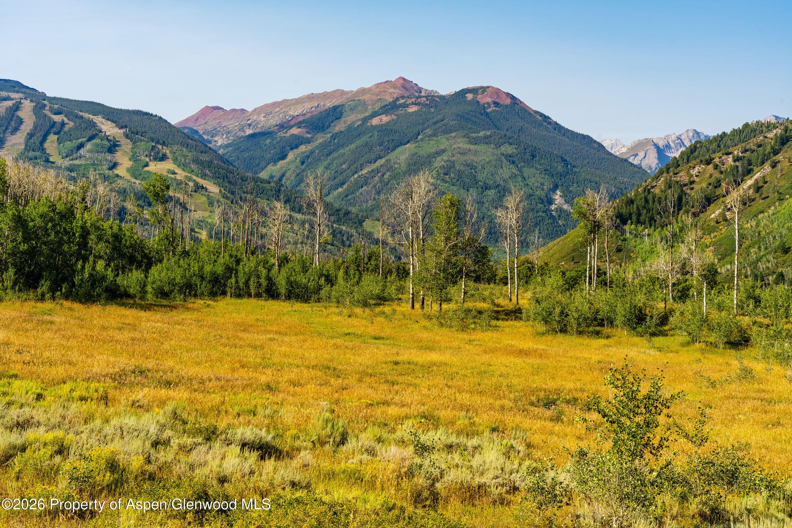8500 & Tbd Snowmass Creek Road, Snowmass, CO 81654 - Photo 8