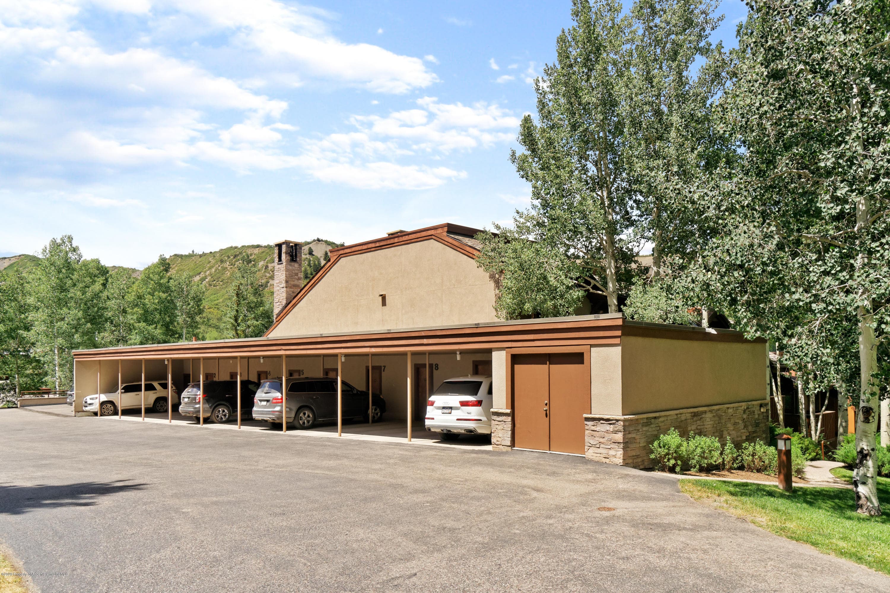 800 Ridge Road #9, Snowmass Village, CO 81615 - Photo 29
