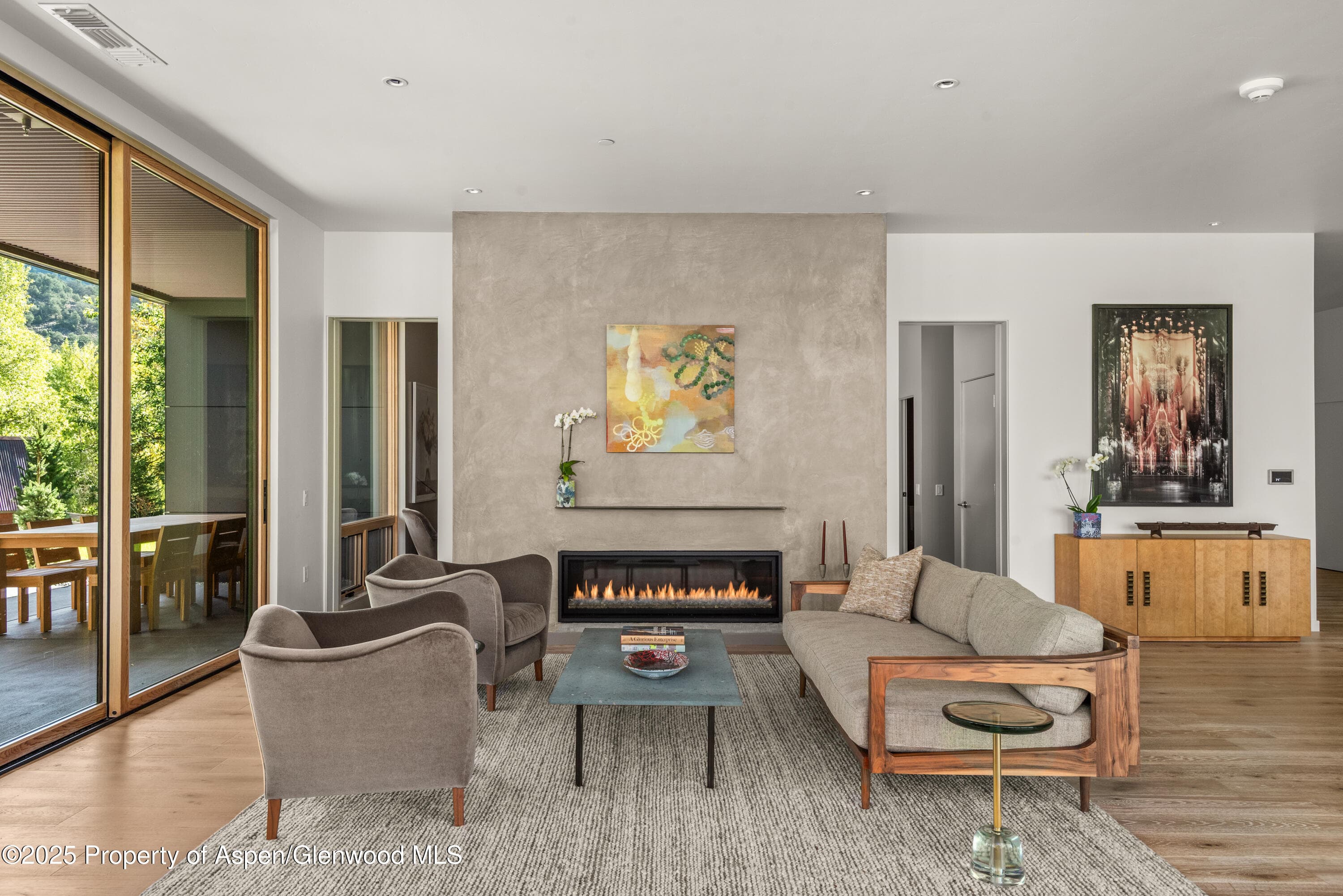 105 Willow Road 101, Basalt, CO 81621
