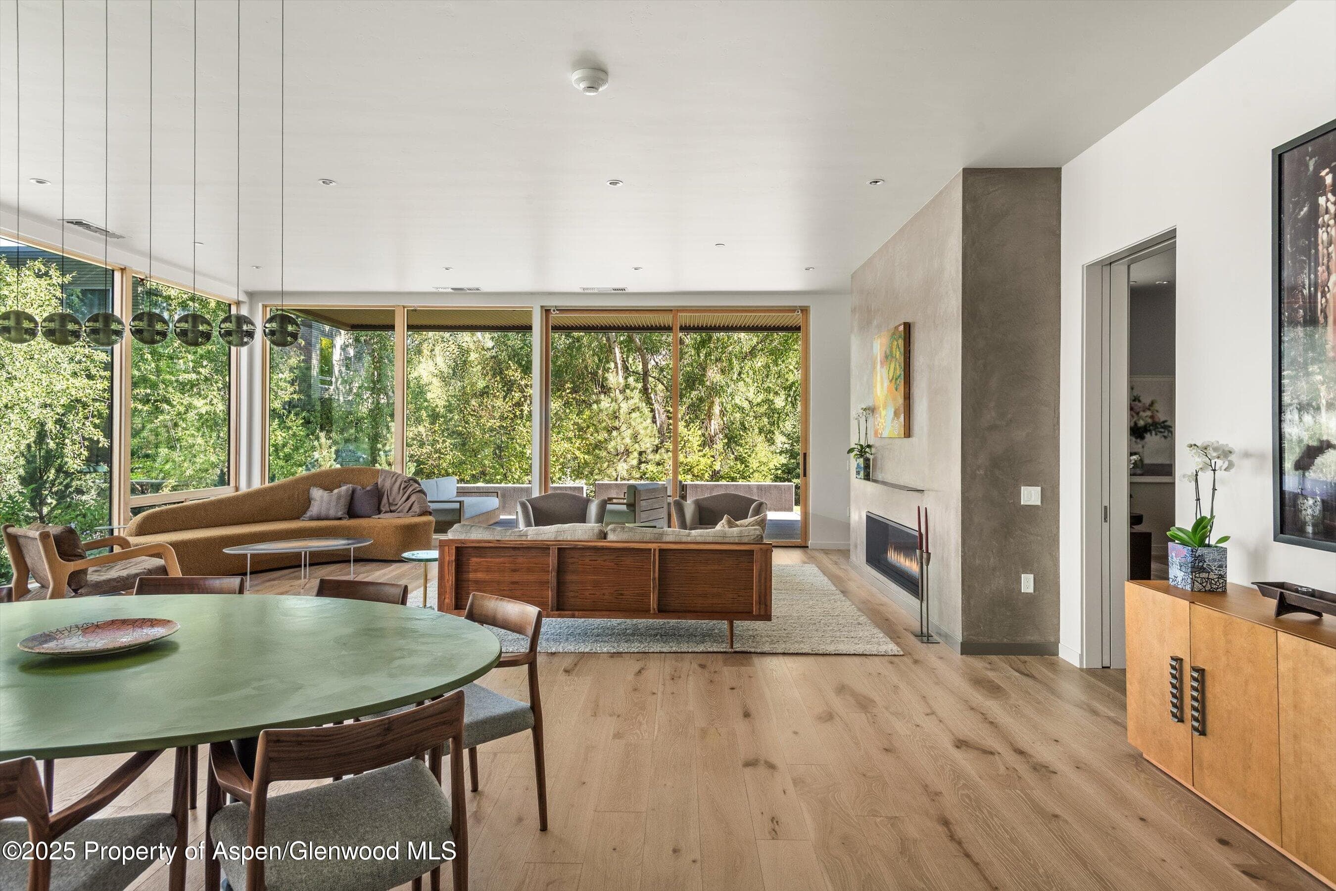 105 Willow Road 101, Basalt, CO 81621 - Photo 4