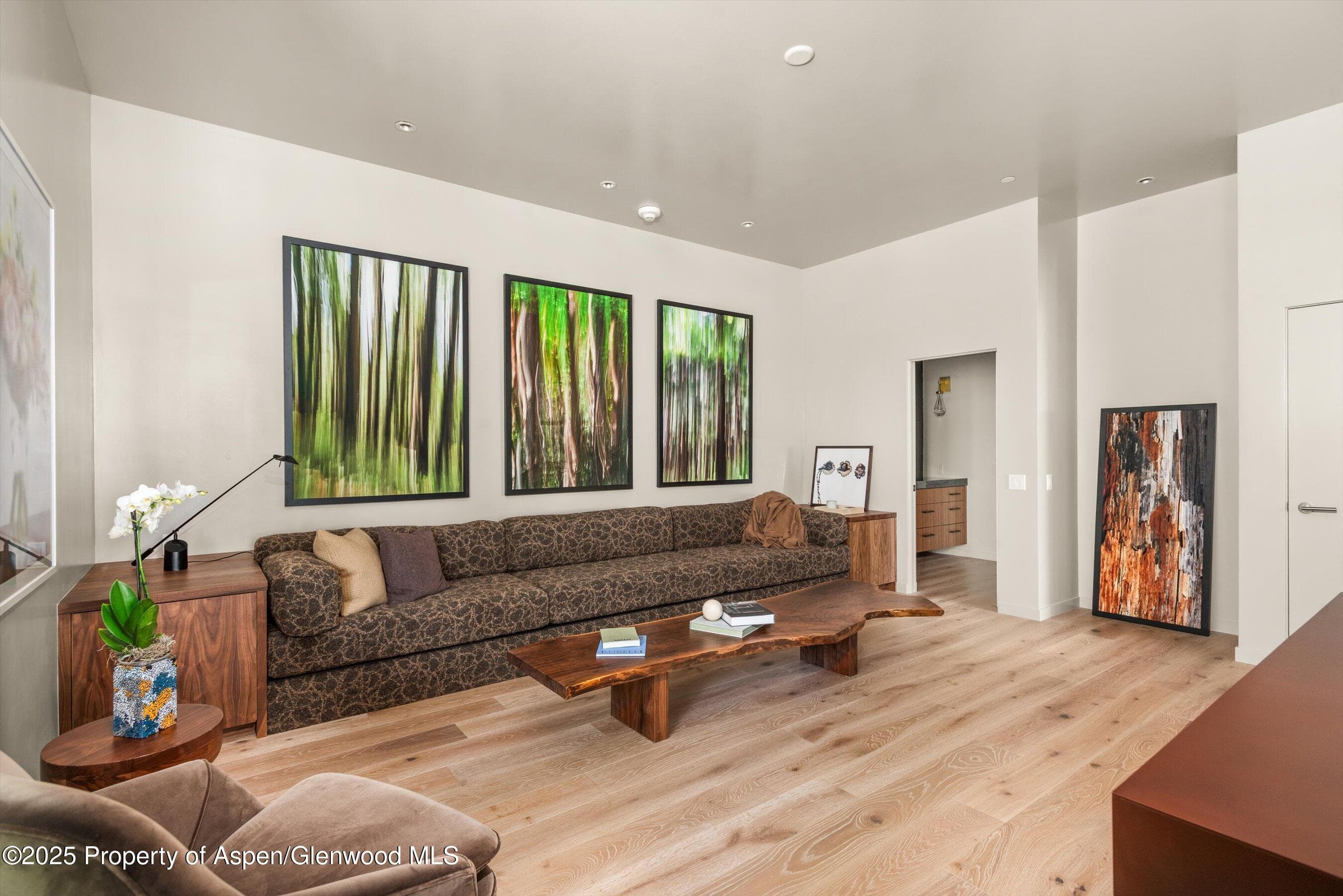 105 Willow Road 101, Basalt, CO 81621 - Photo 8