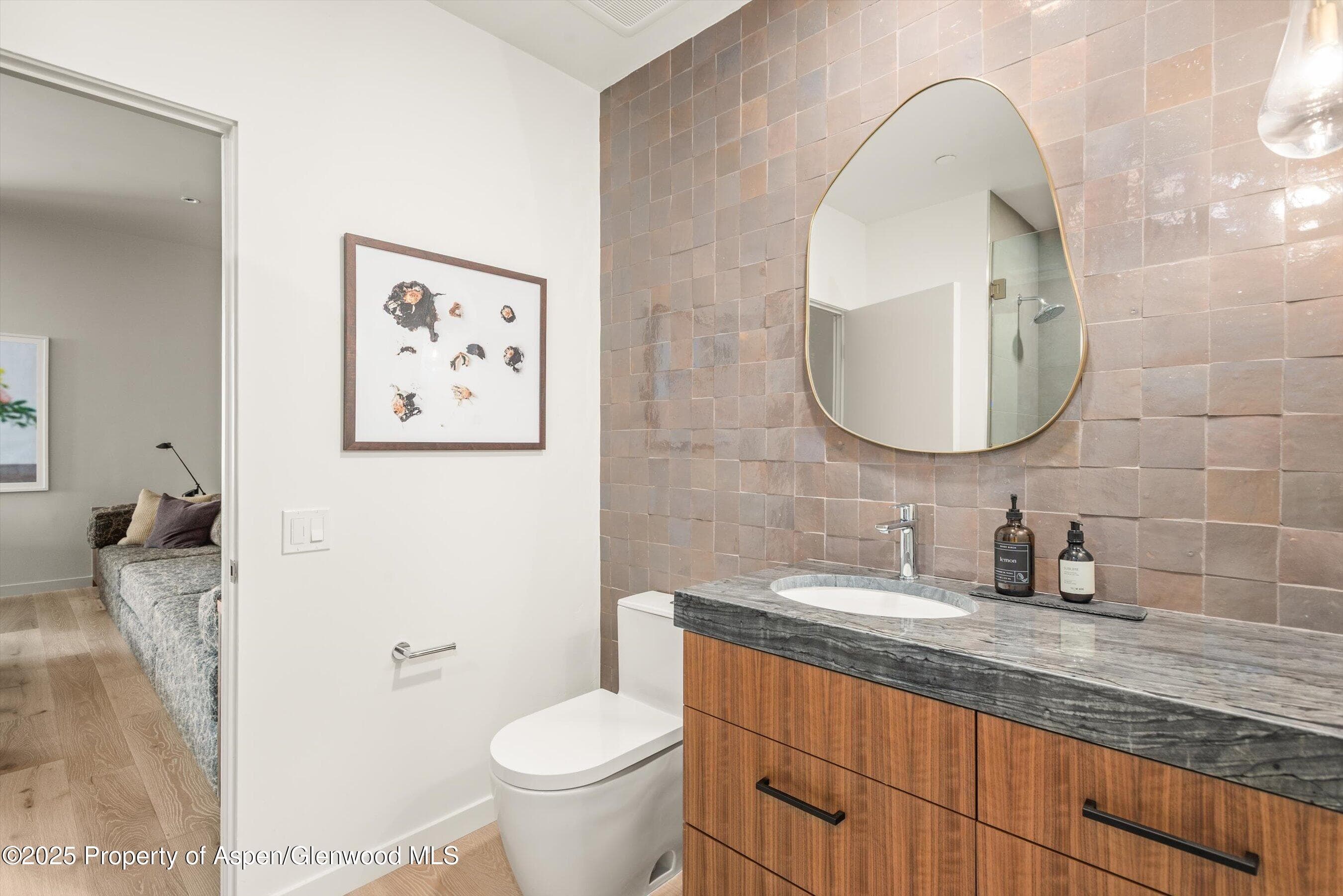 105 Willow Road 204, Basalt, CO 81621 - Photo 11