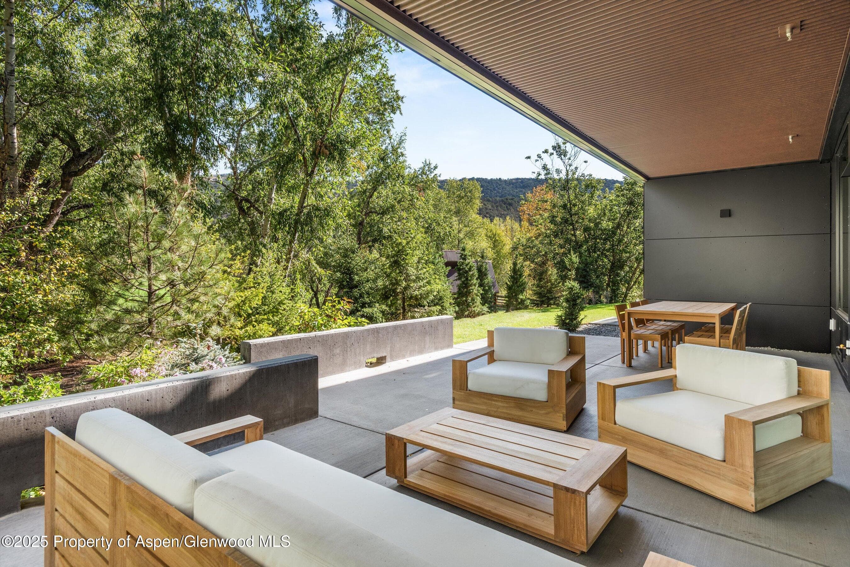 105 Willow Road 203, Basalt, CO 81621 - Photo 12