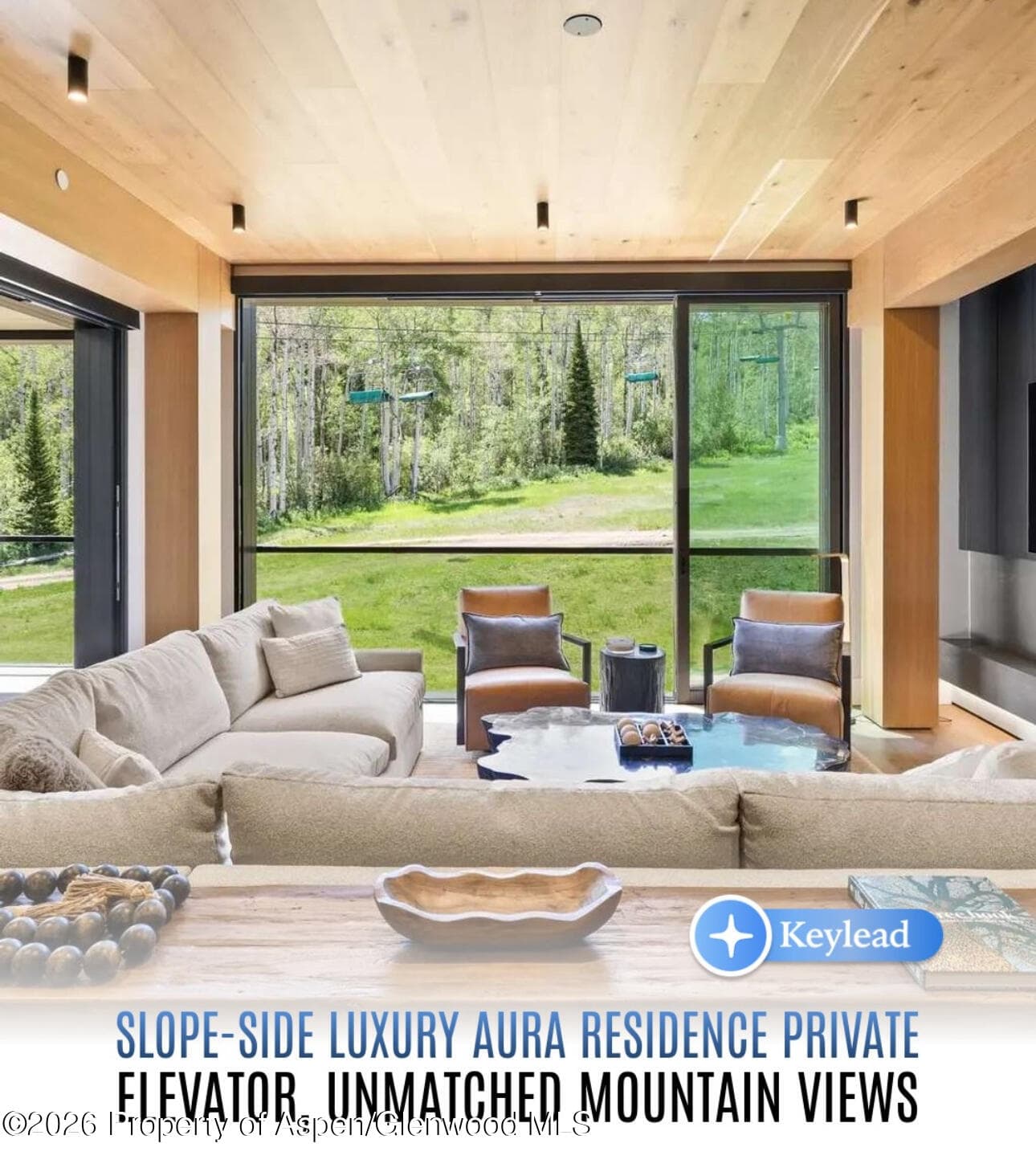 180 Wood Road 402, Snowmass Village, CO 81615 - Photo 89
