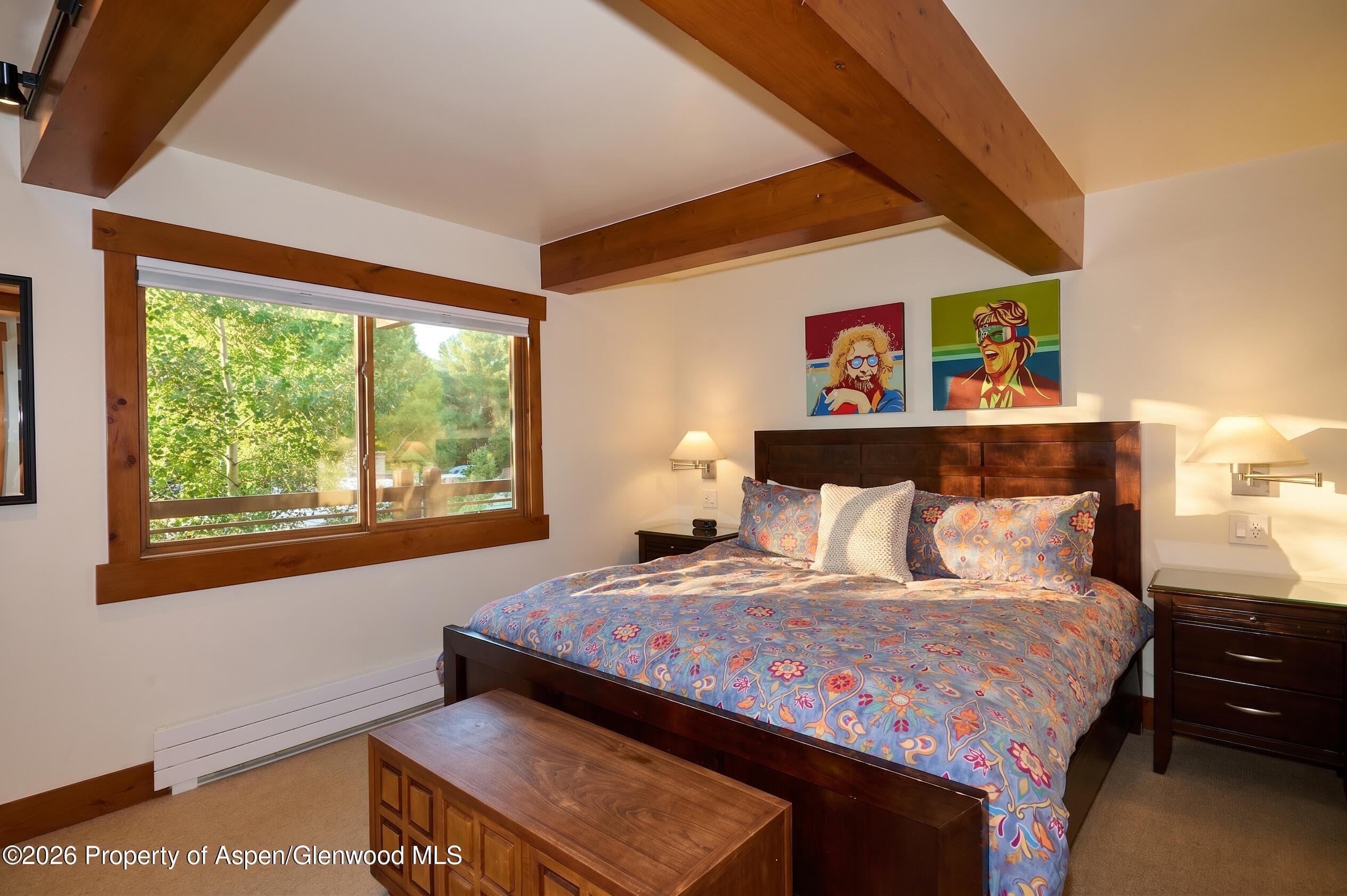 131 E Durant Avenue 410, Aspen, CO 81611 - Photo 9
